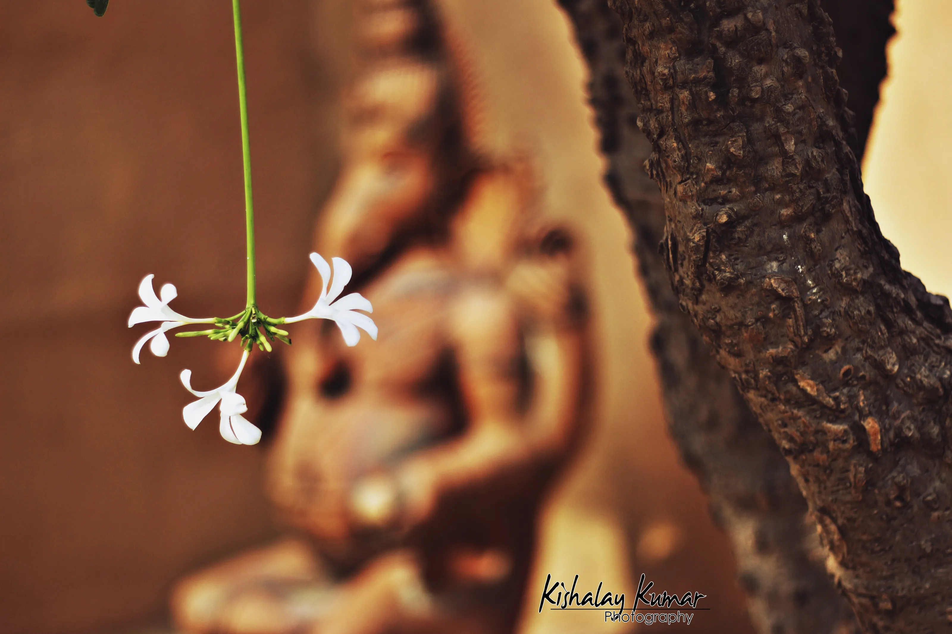 Lord Ganesha