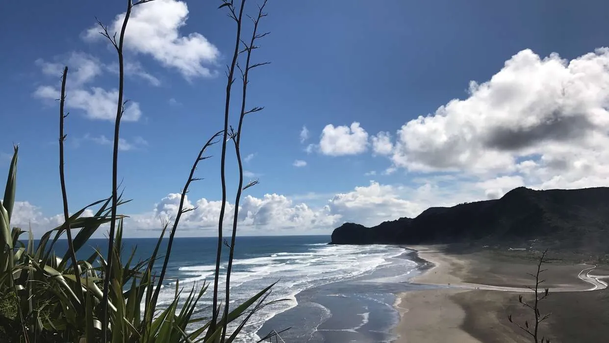 Lion Rock, Piha