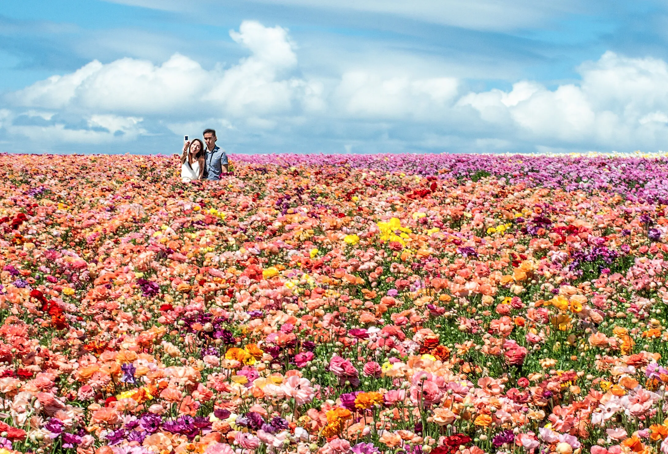 Selfie in the Flowerfield