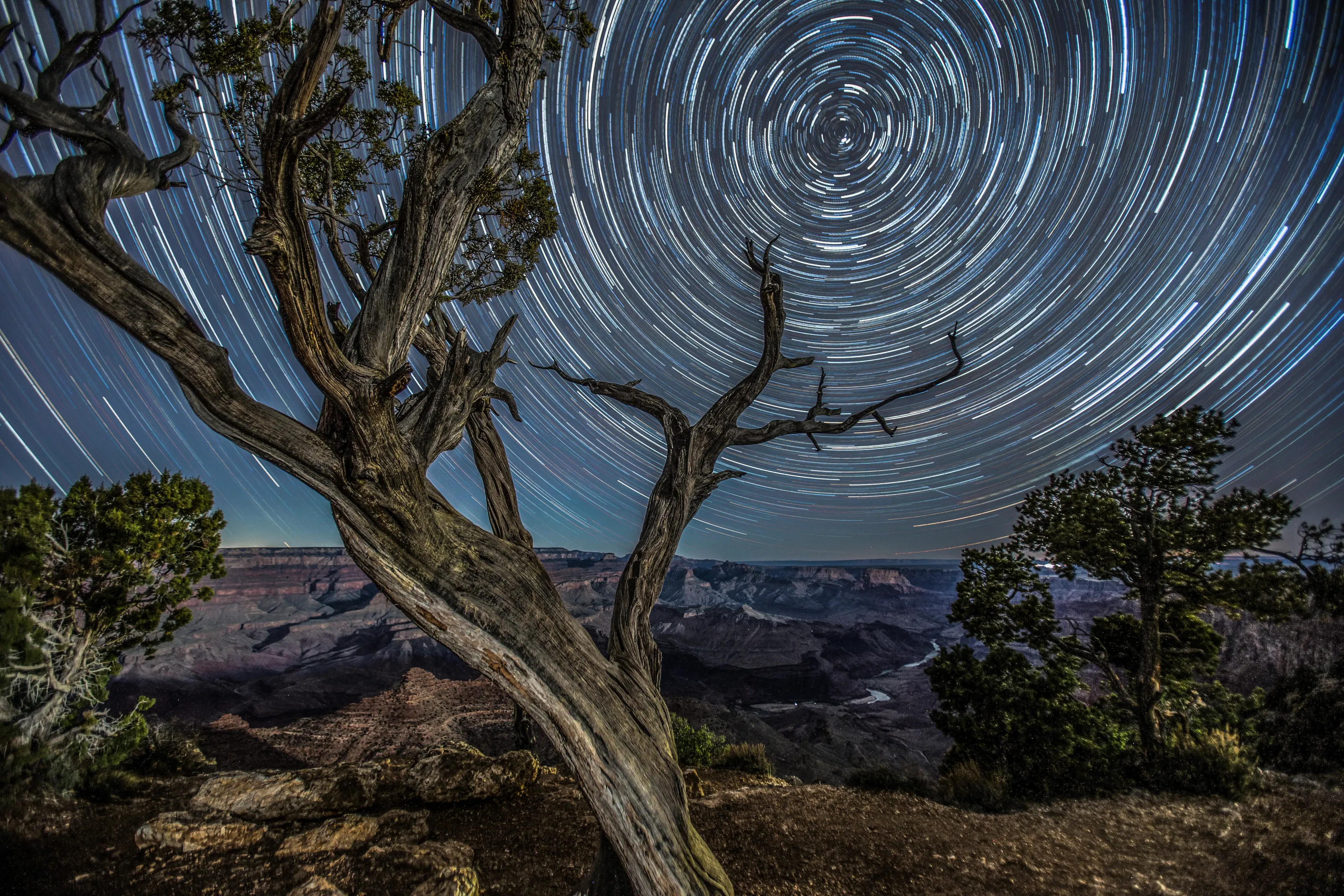 Star Trails over the Grand Canyon
