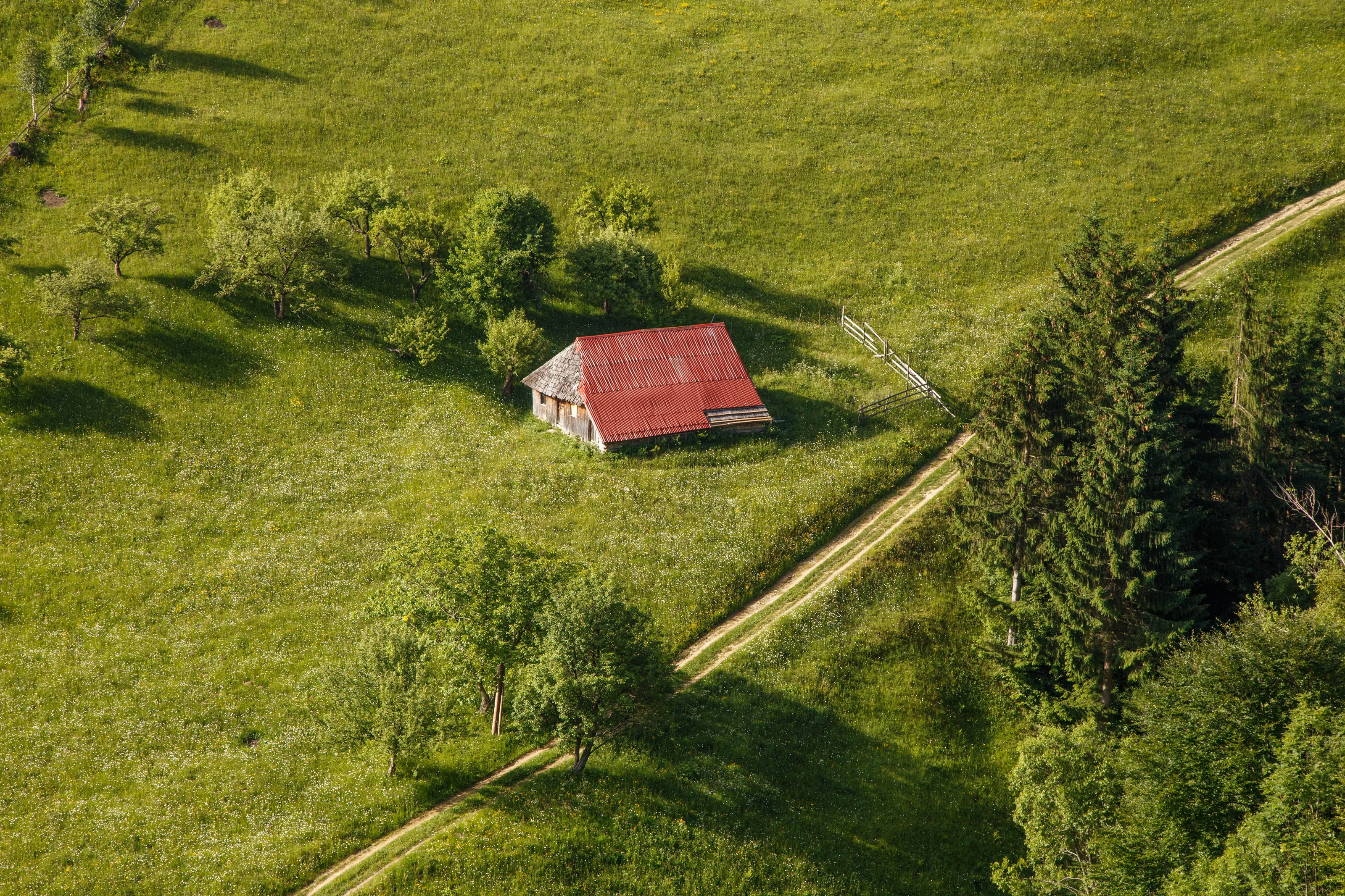 the house hill