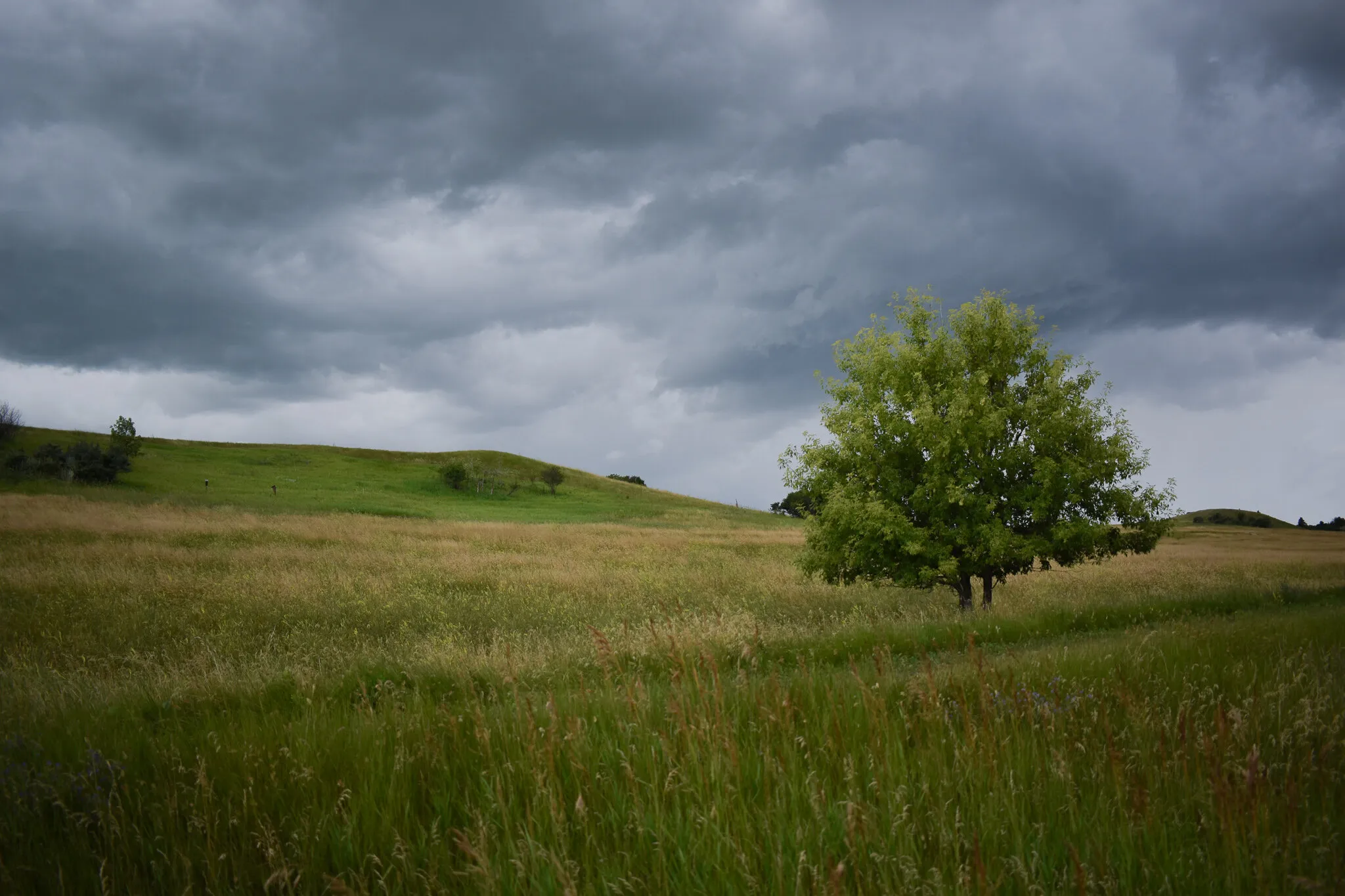 North Dakota Plains