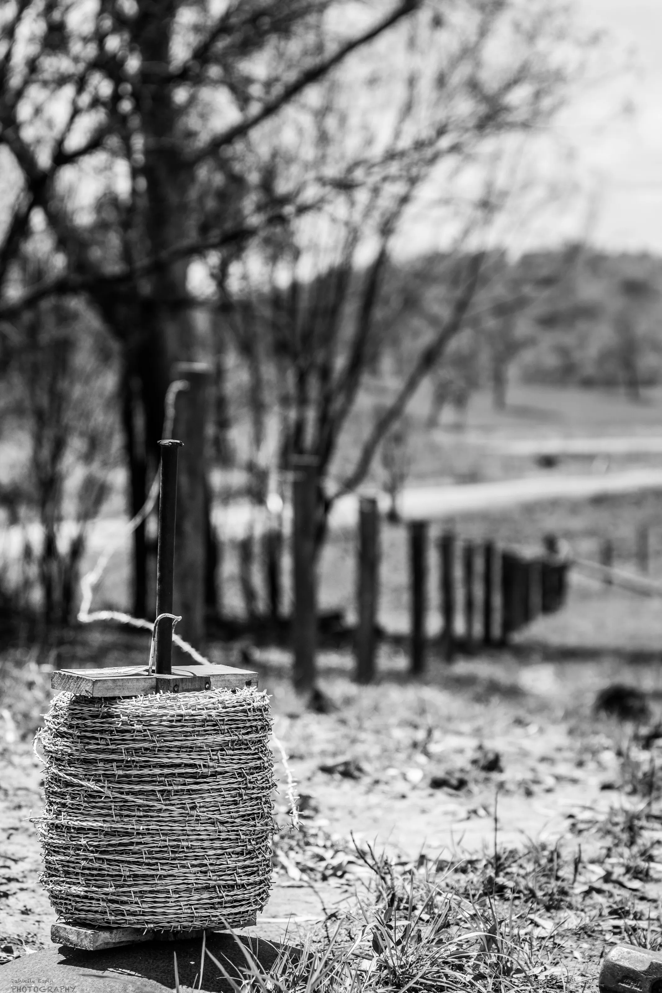 Fencing, after the fires.
