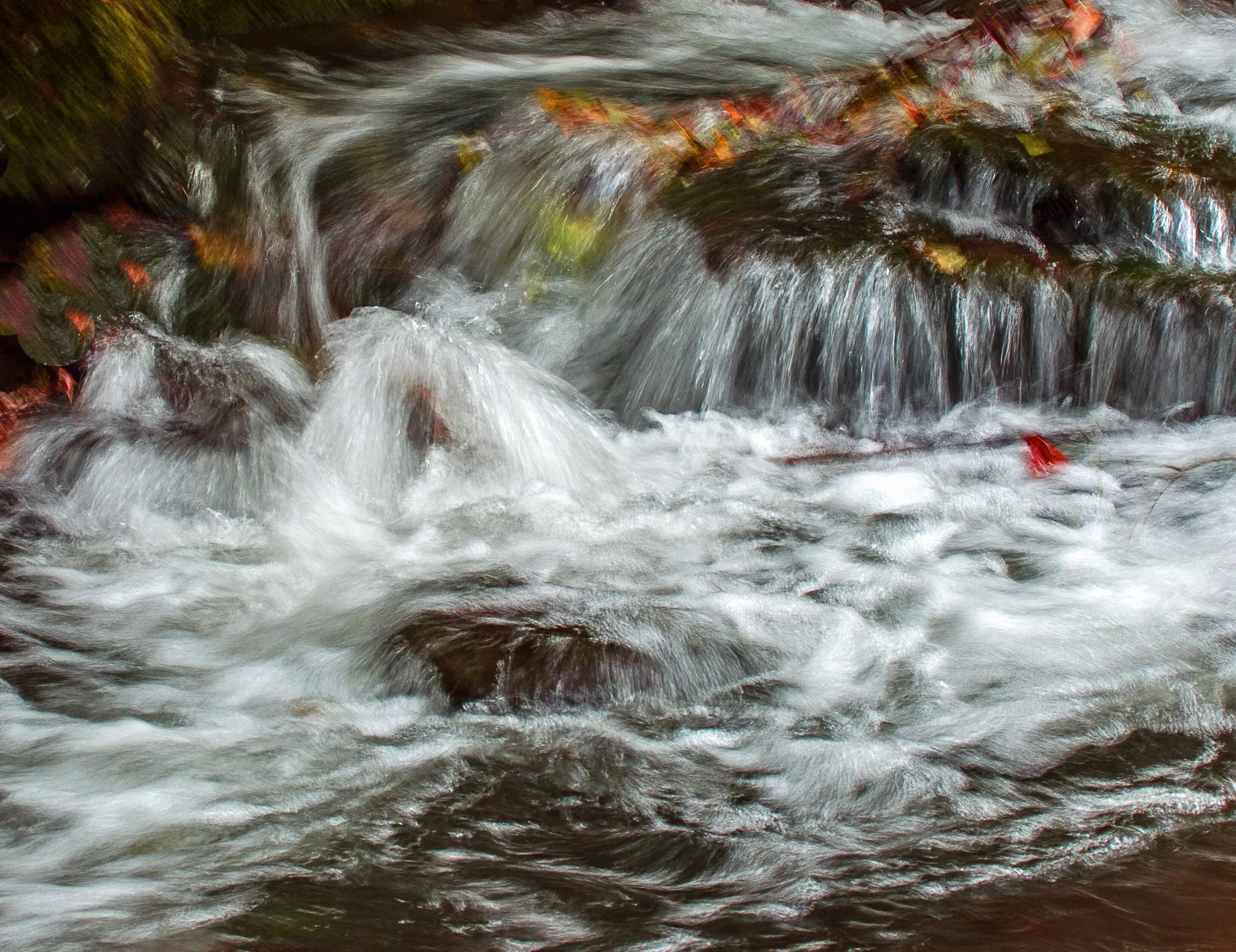 Wild Water