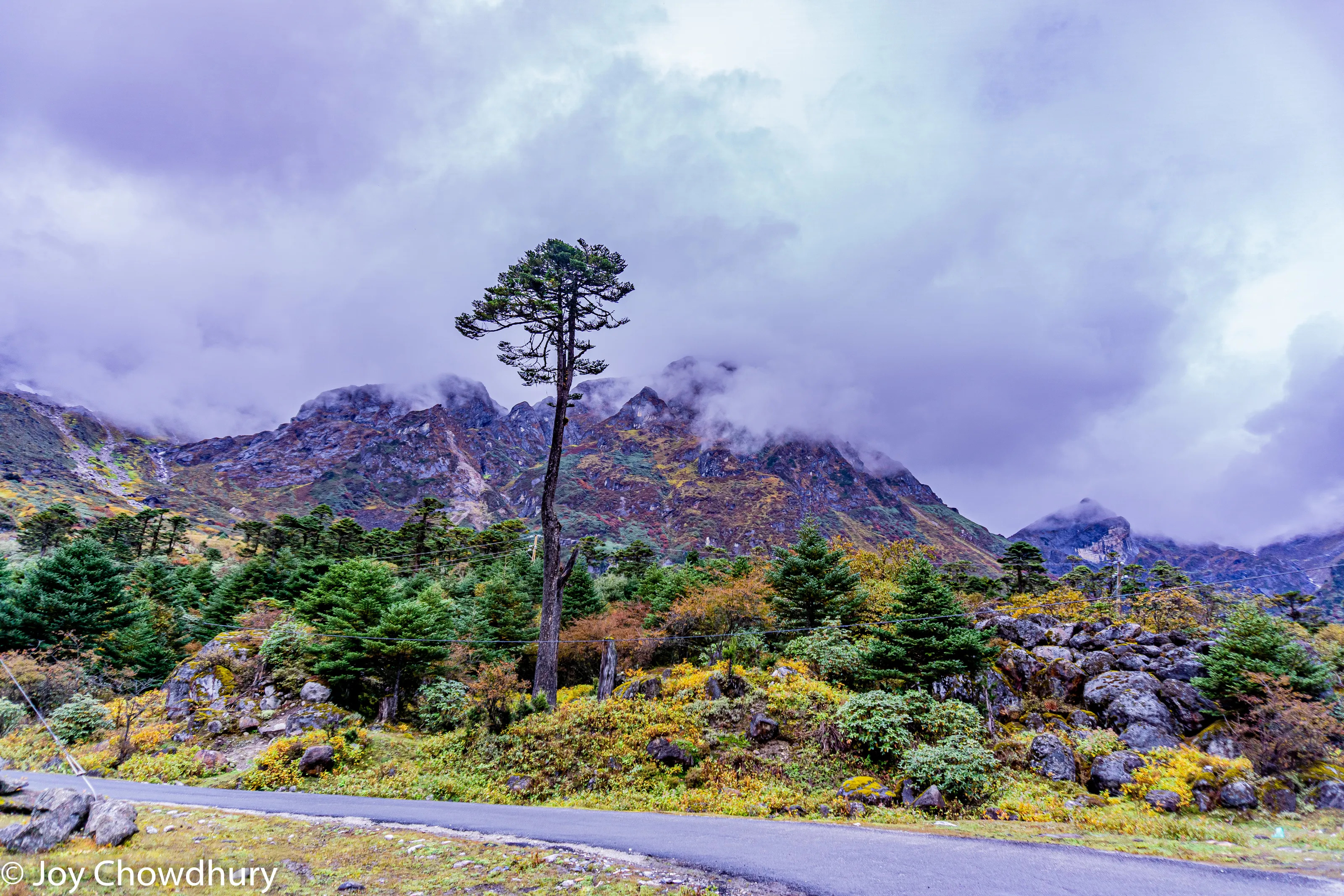 Landscape