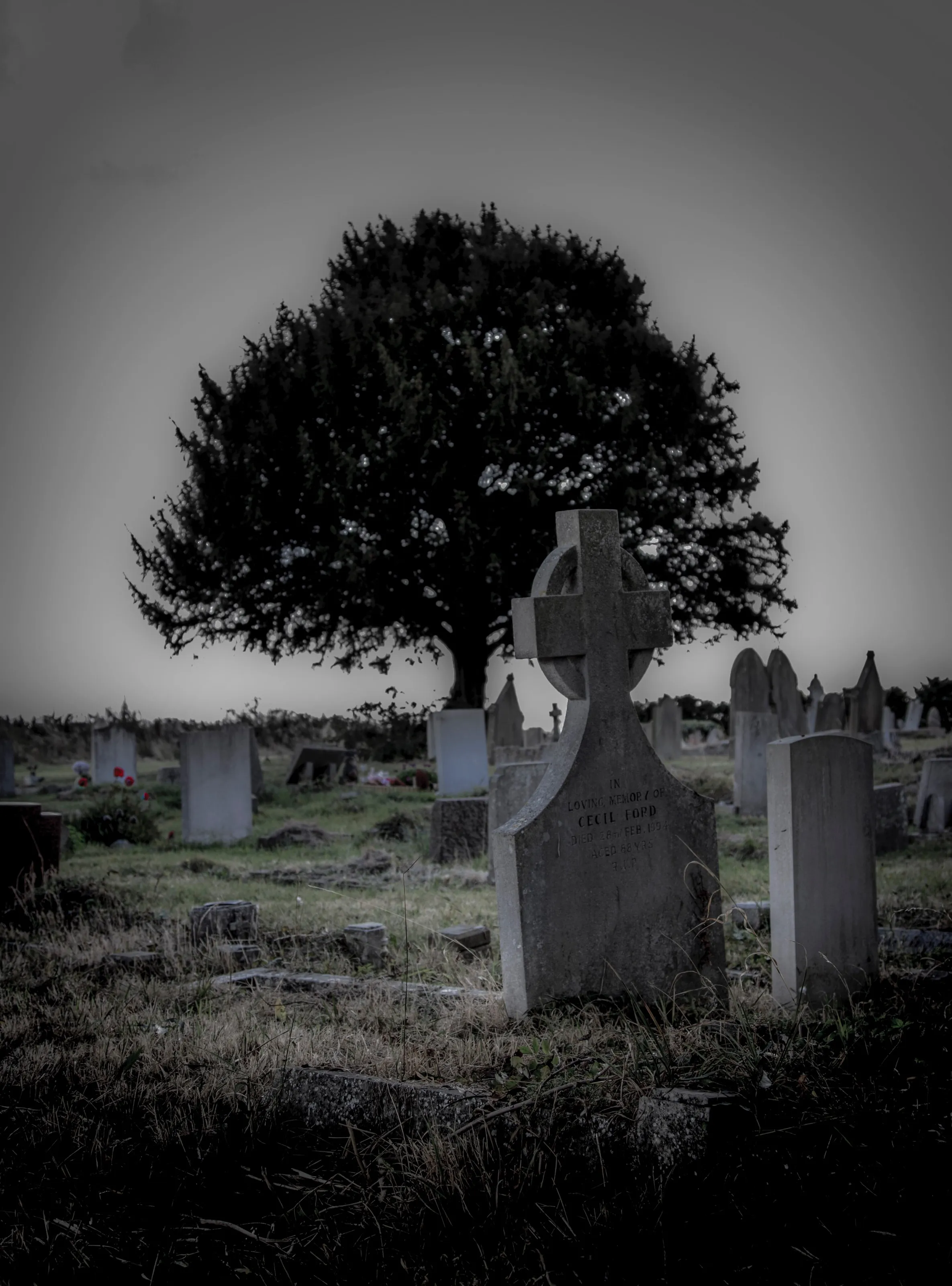 Life among the dead