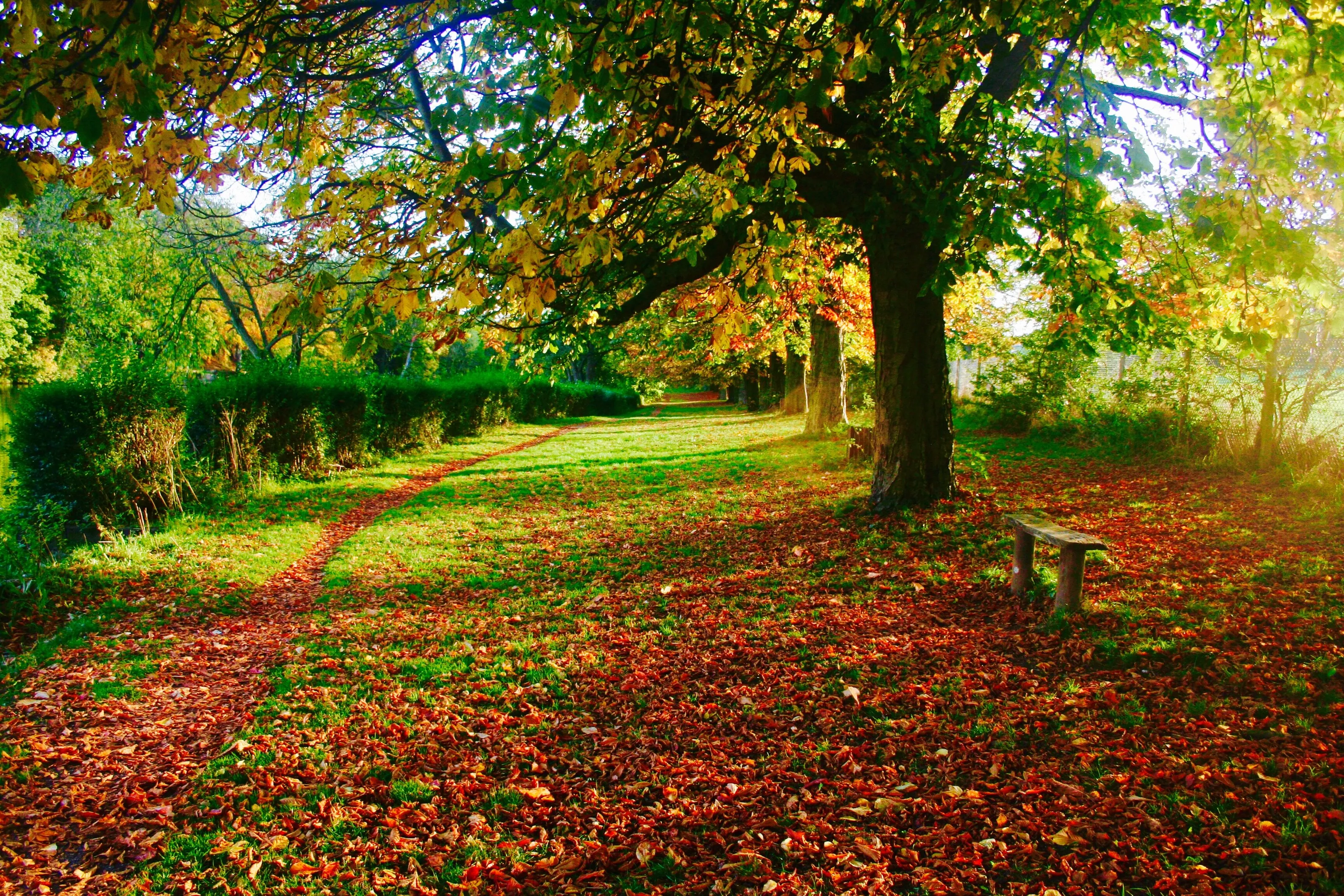 Autumn colours