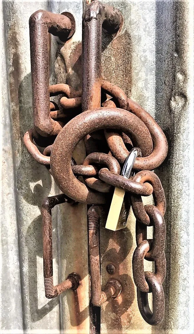 Entry 11131003