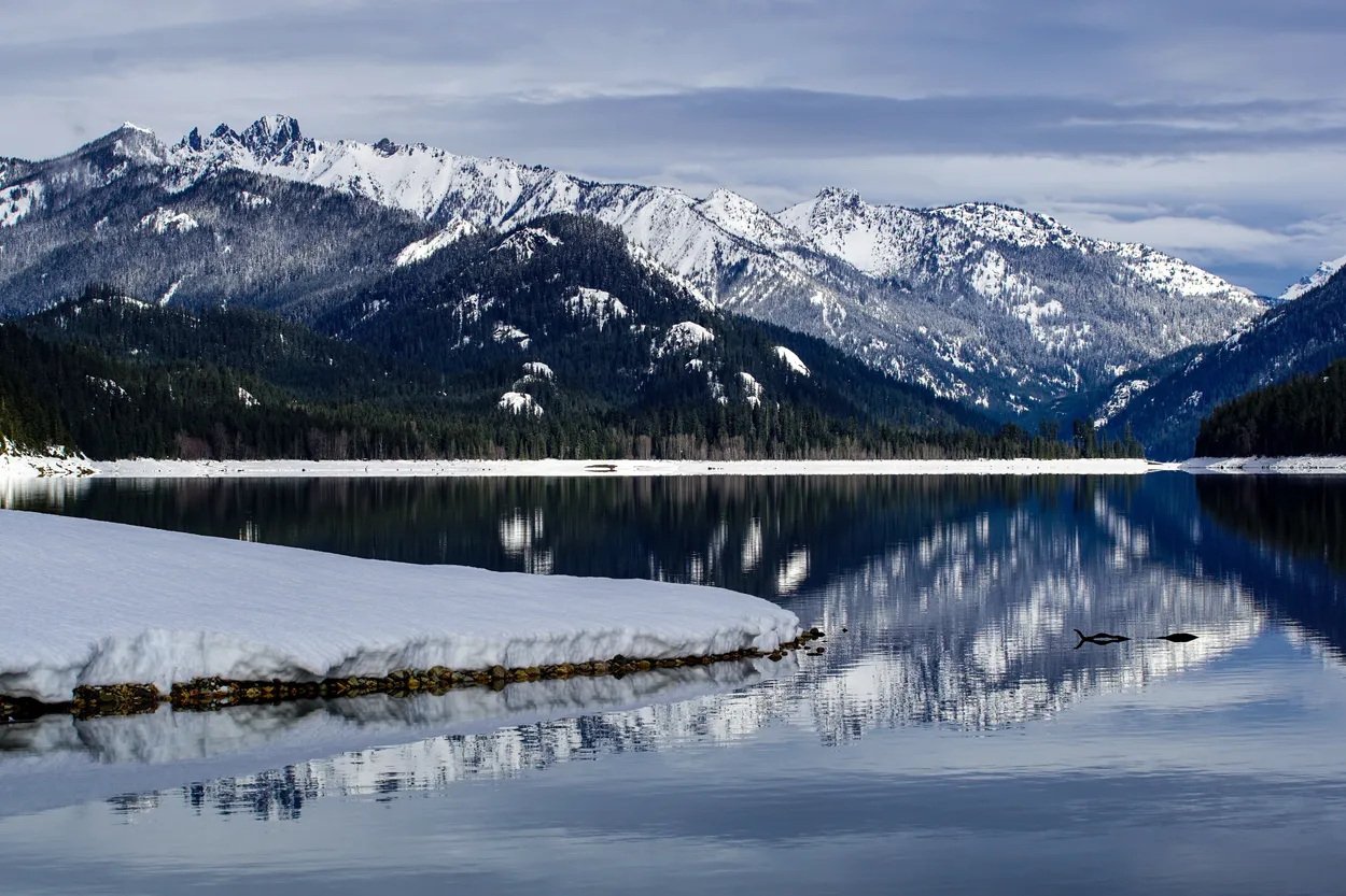 Entry 11837099