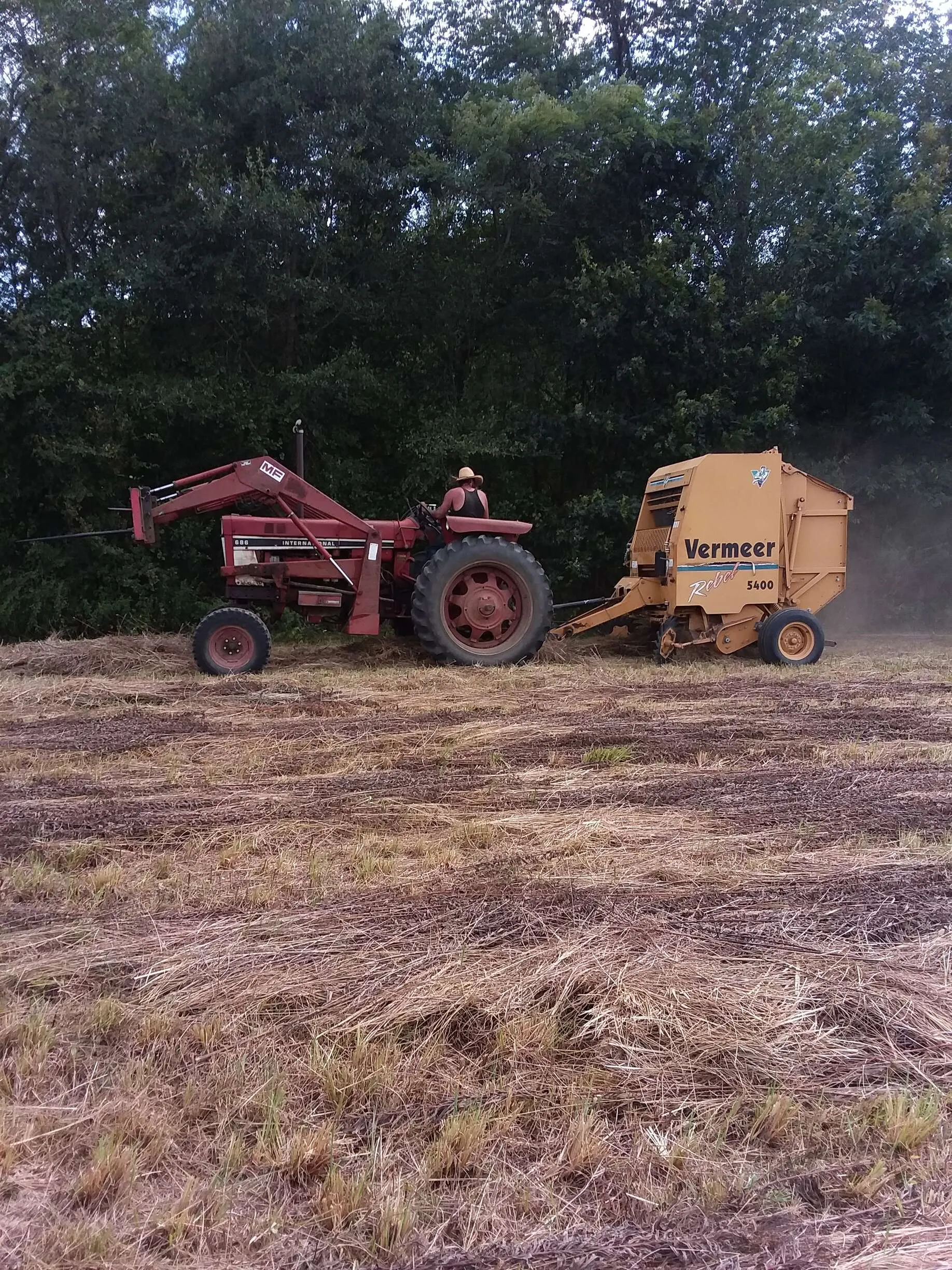 Hay day