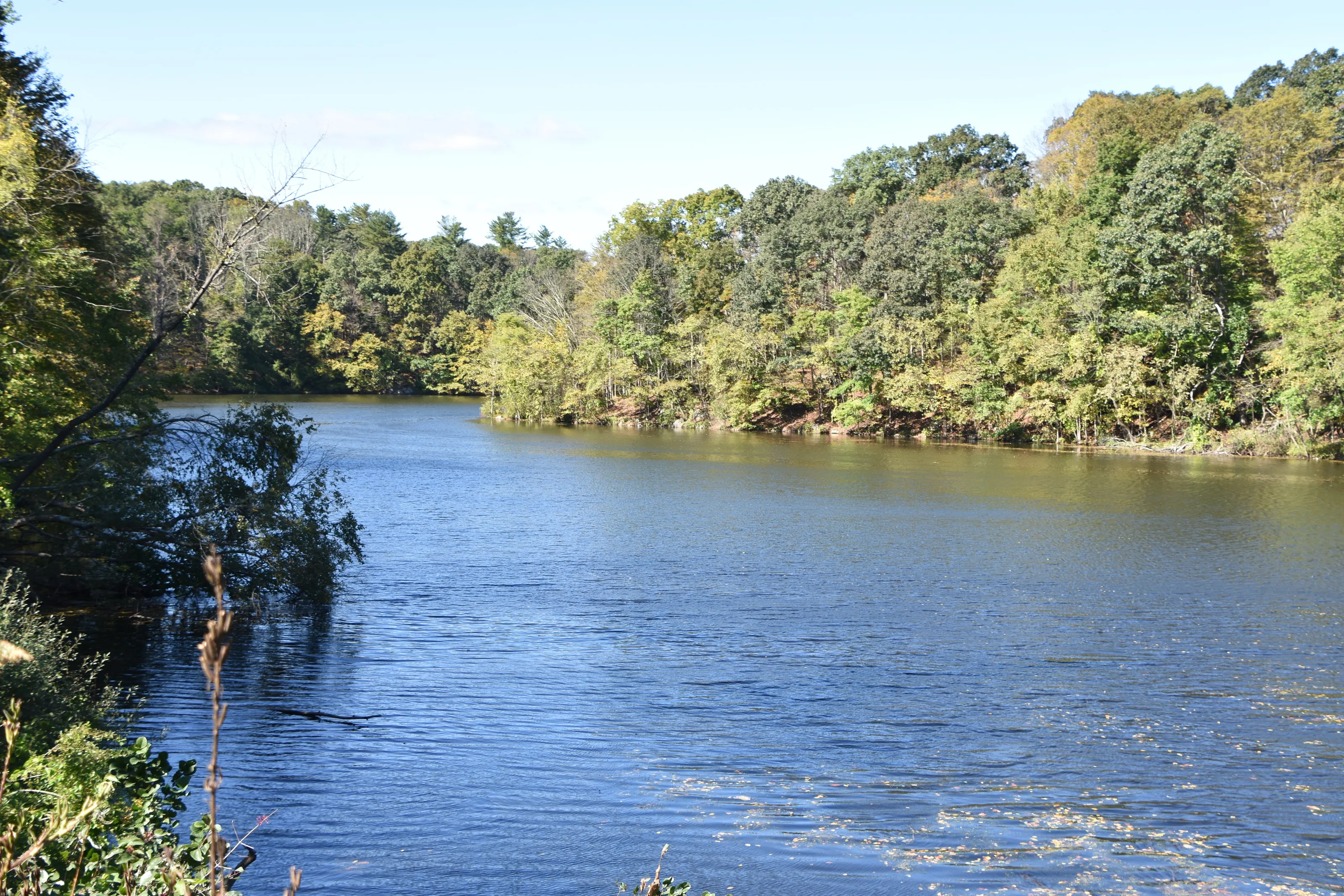 The Lake