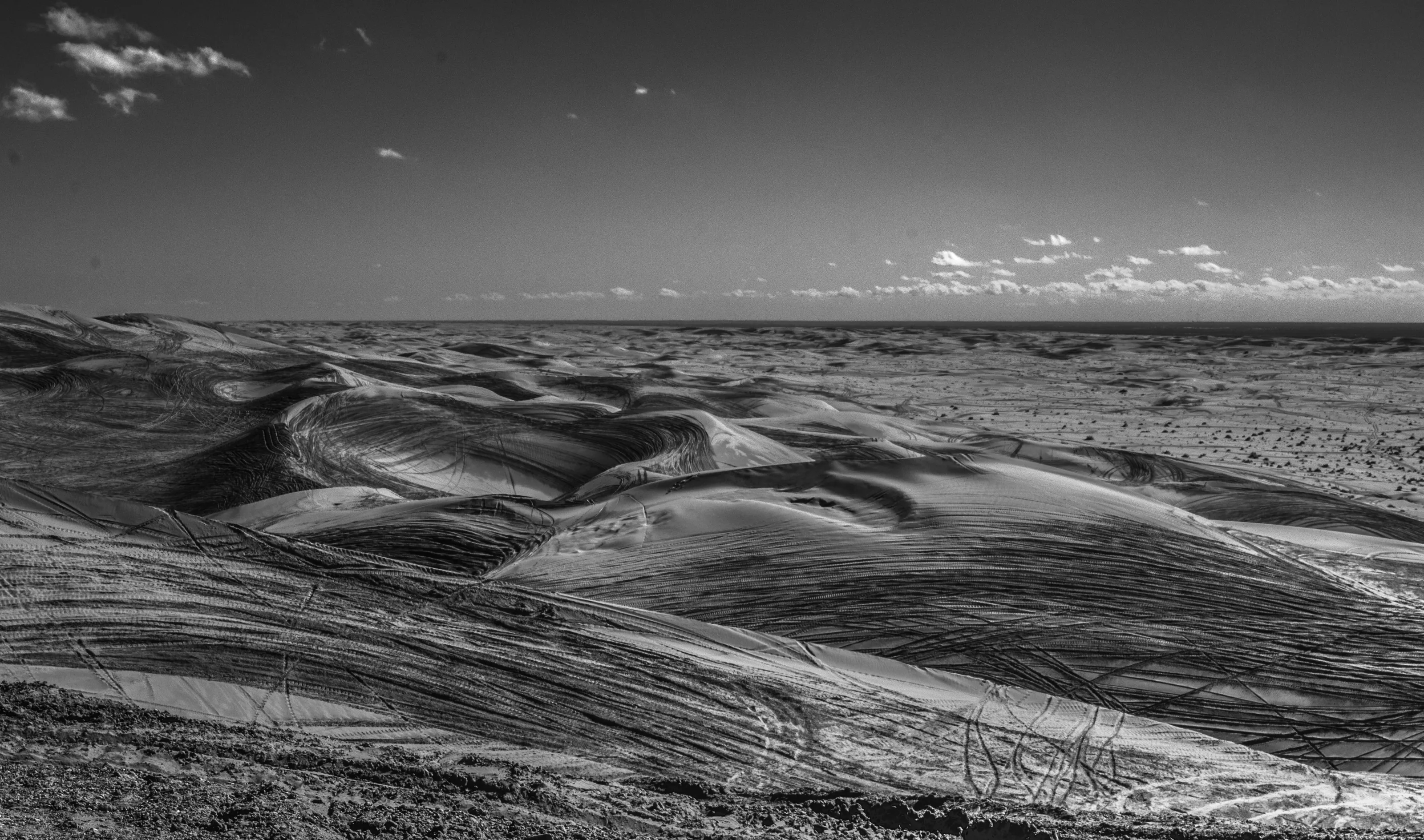 Tracks on the Dunes