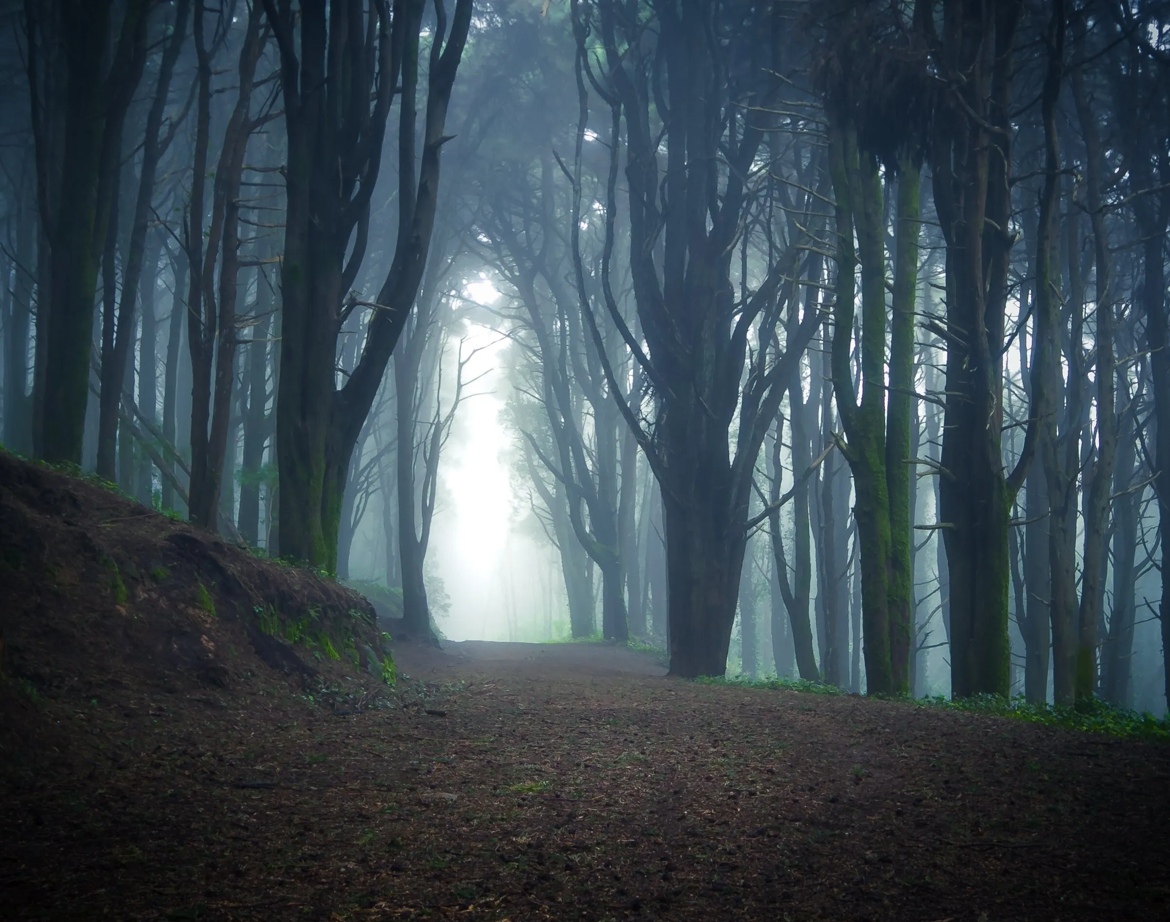 Trees