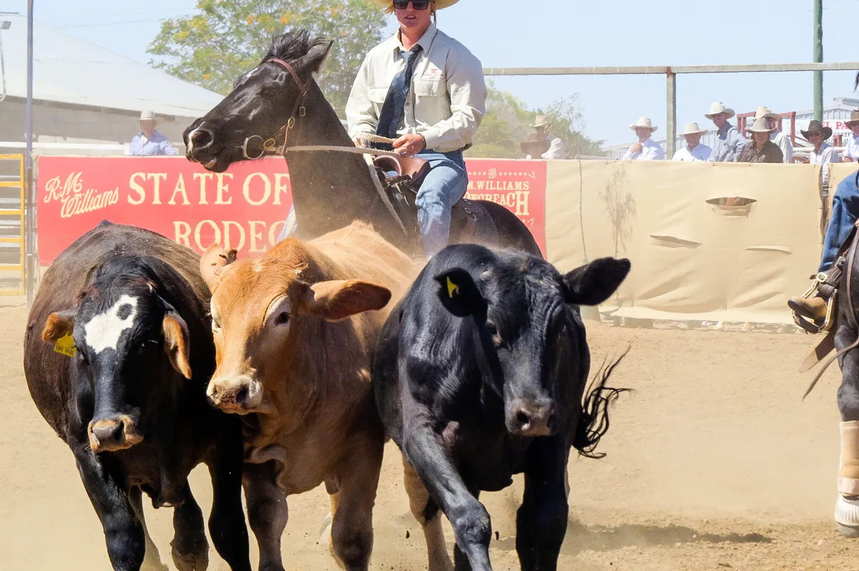 Entry 1057969