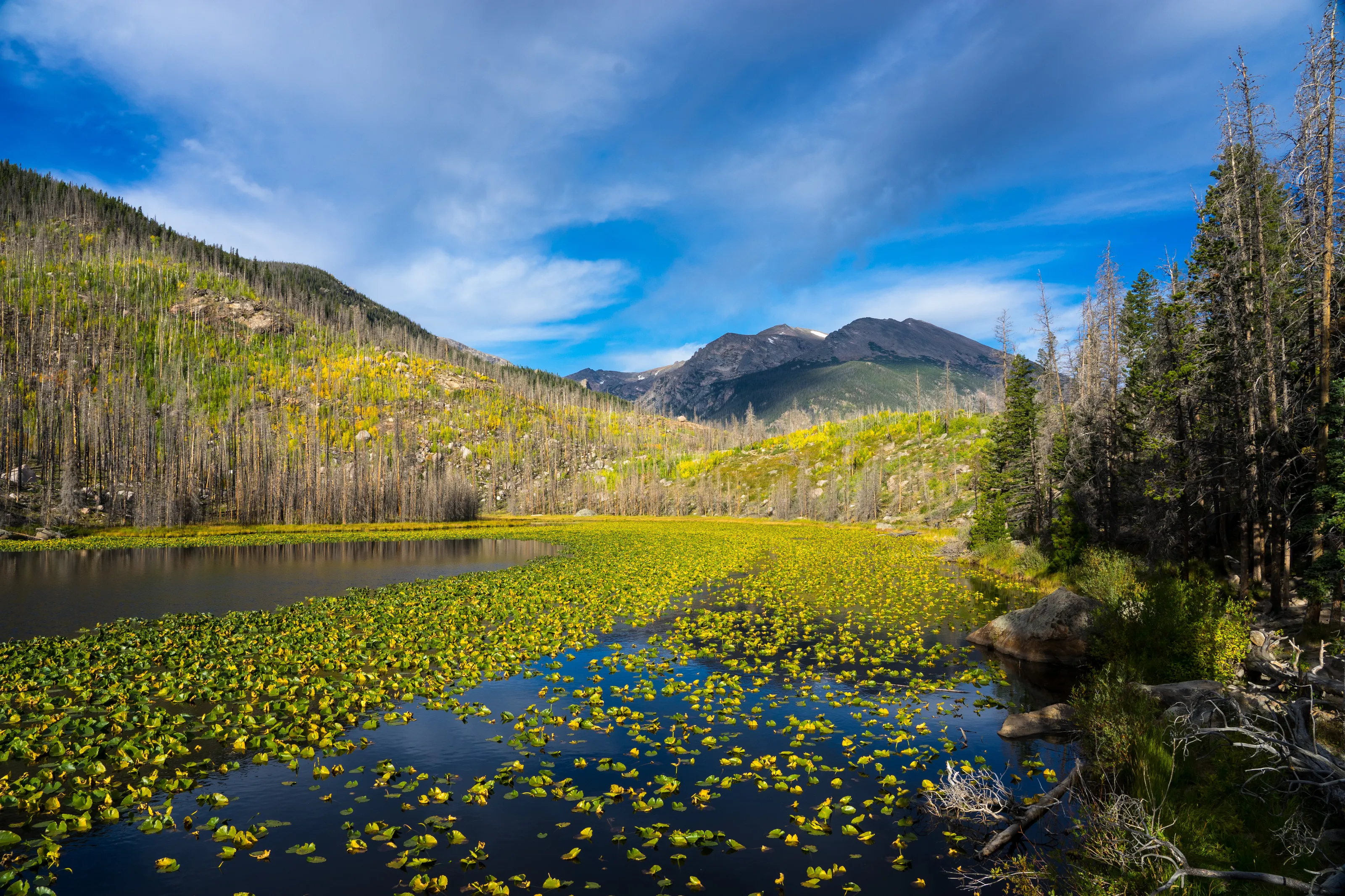 Rocky Mountain National Park