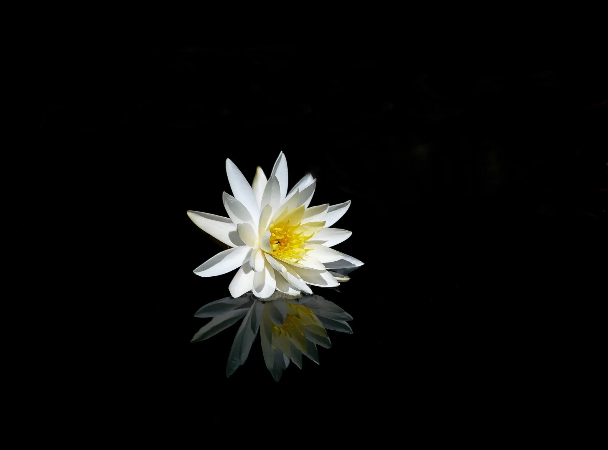Alone in the Darkness