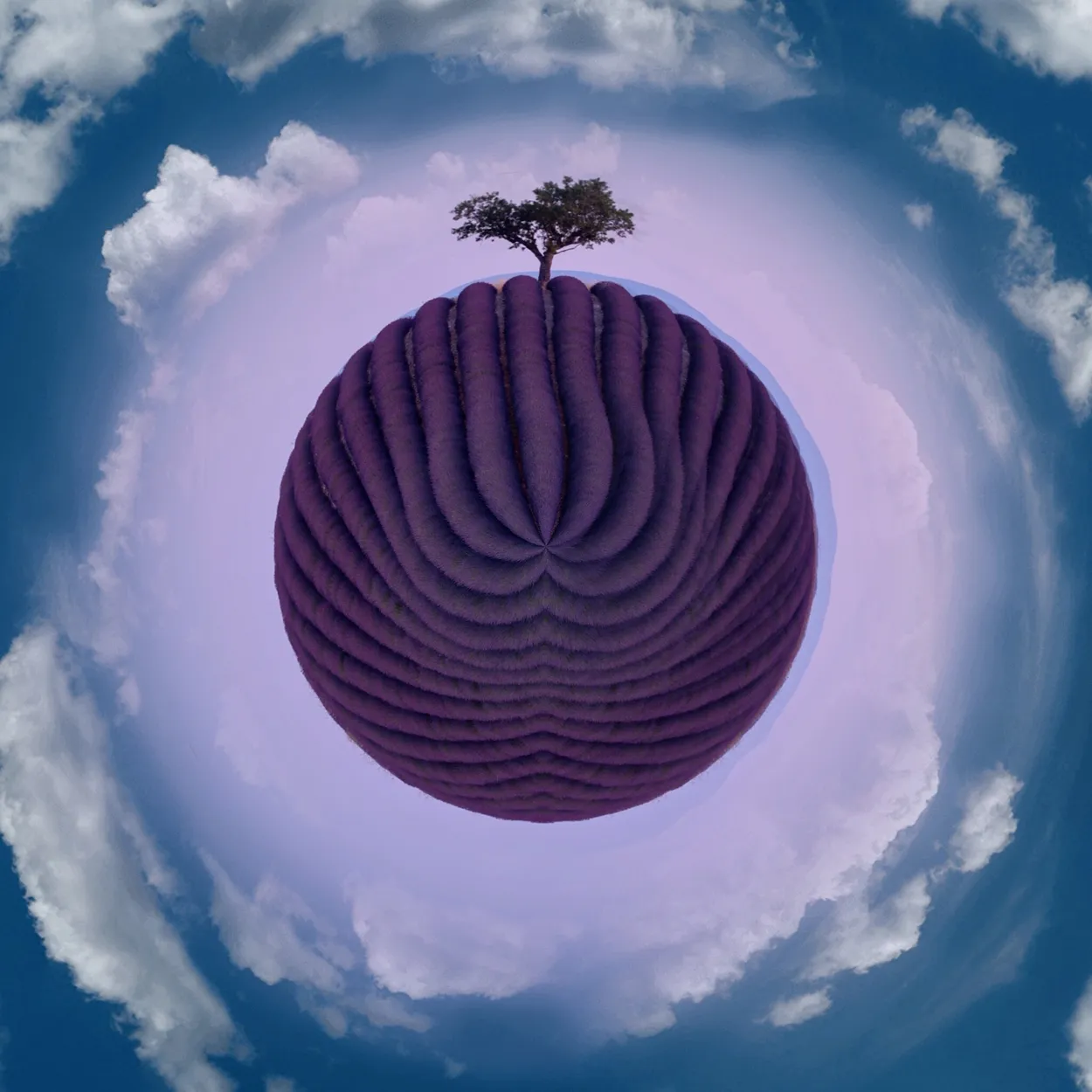 Entry 11160353