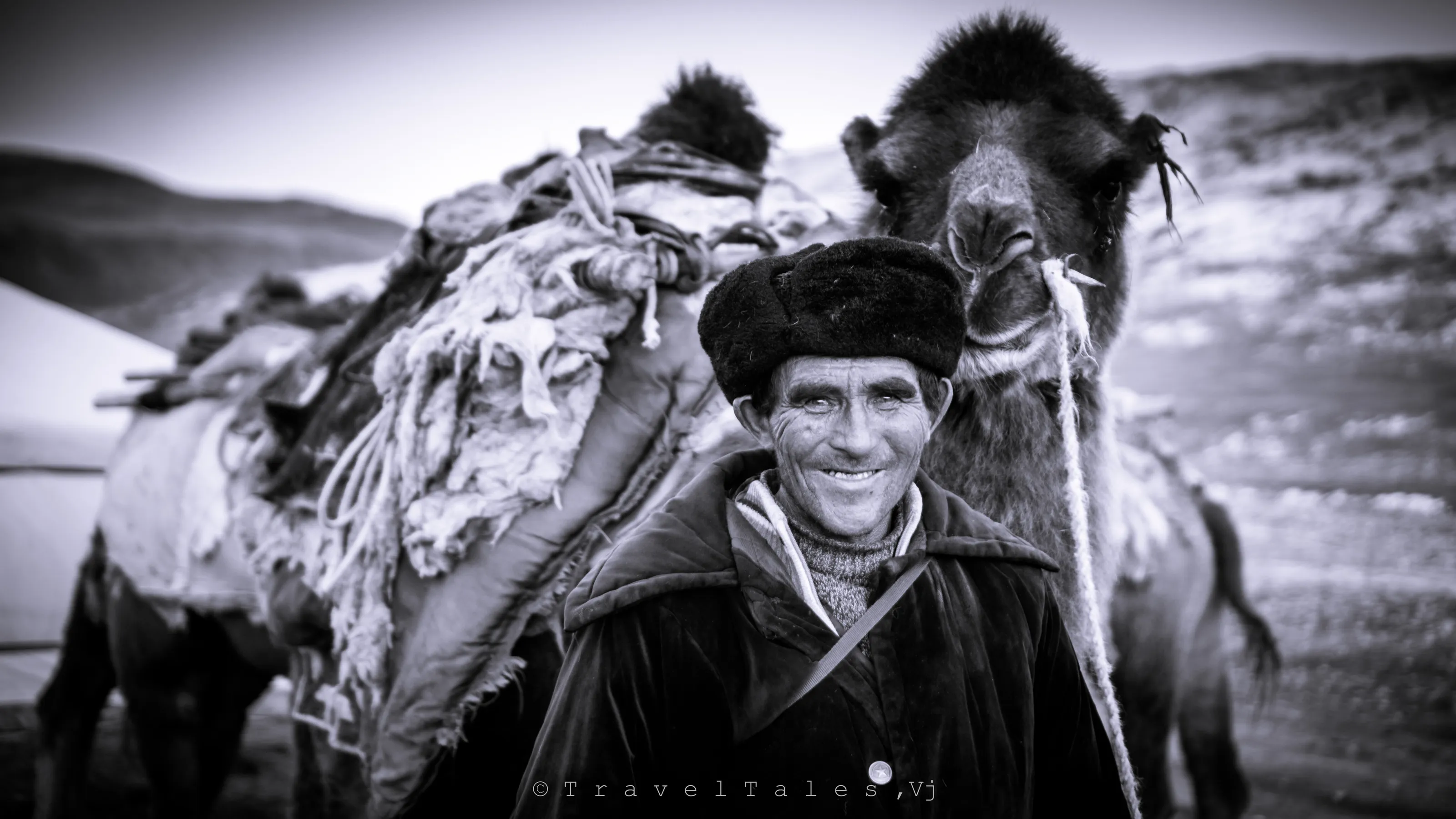 Camel Herder,Mongolia