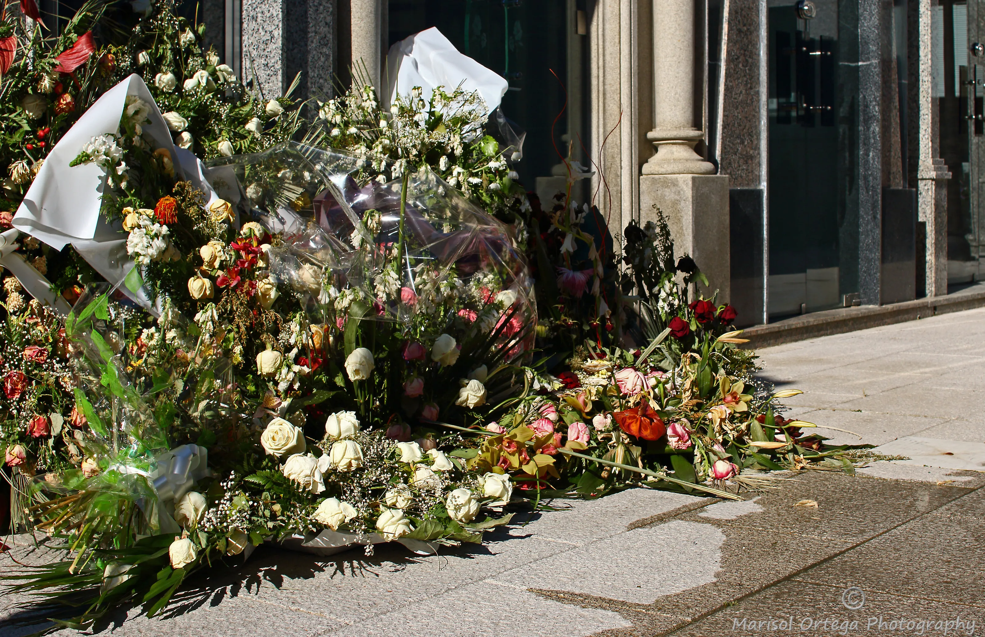 Past Due Flowers
