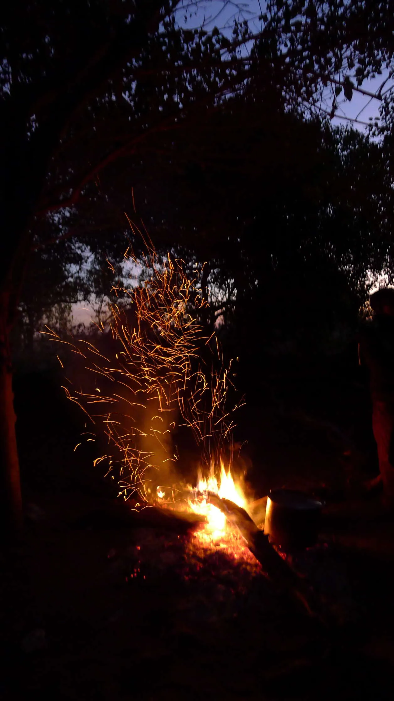 Sparks