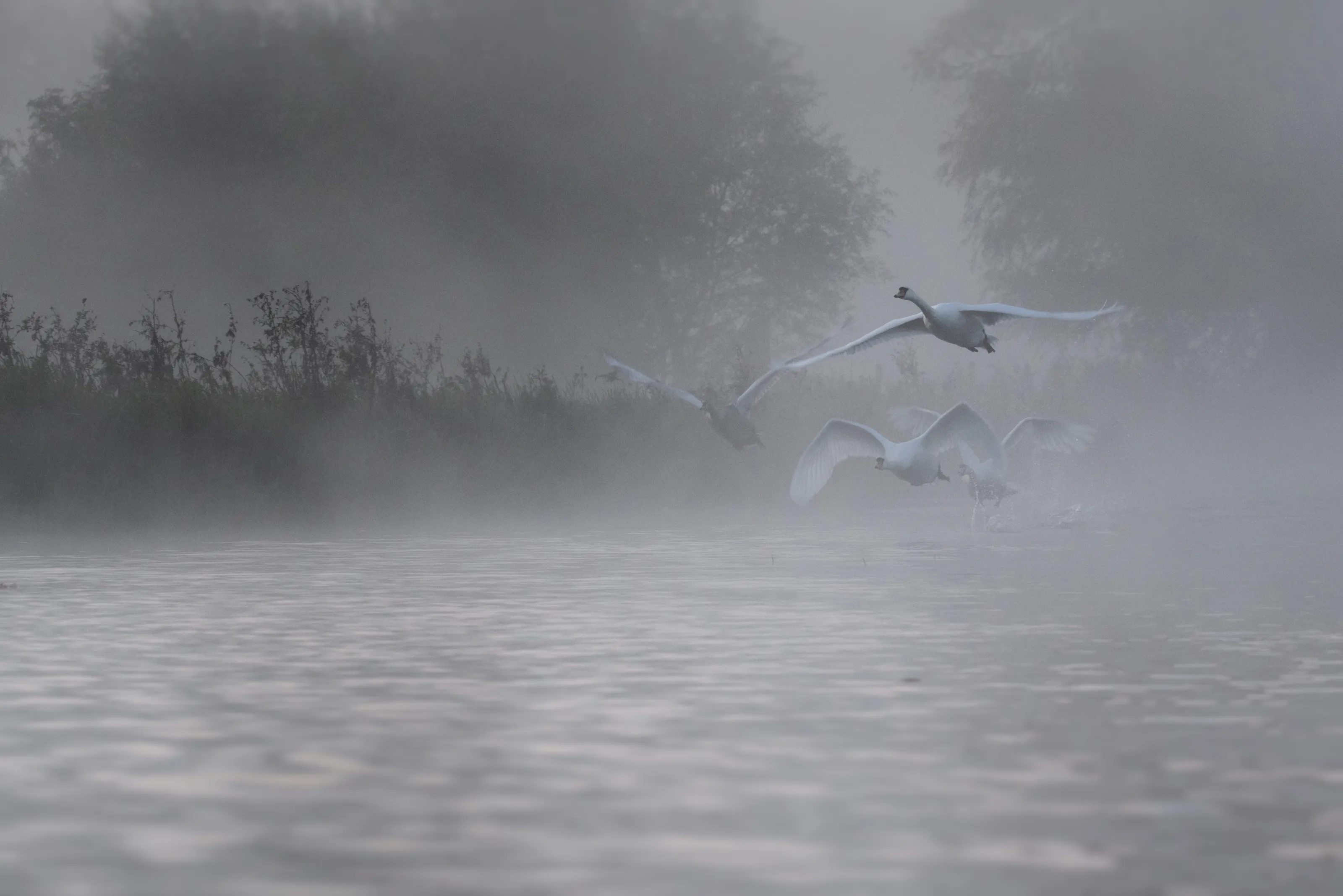 Flight path