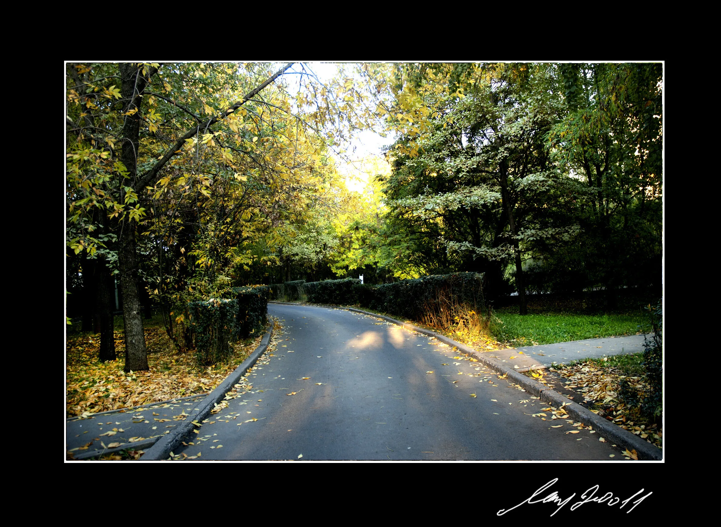Autumn road