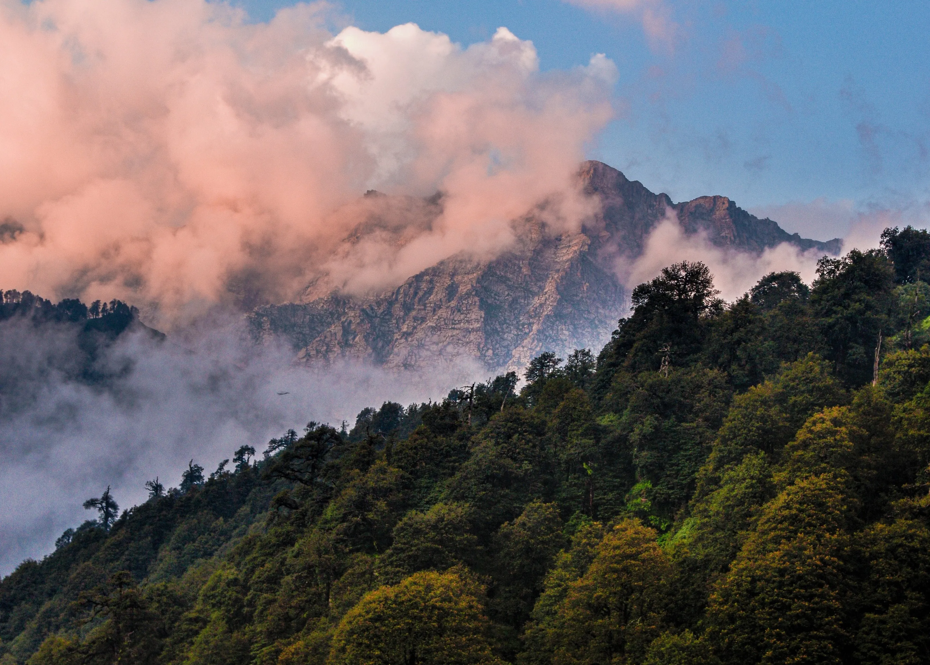 AUTUM COLOURS IN THE HIMALAYAS.