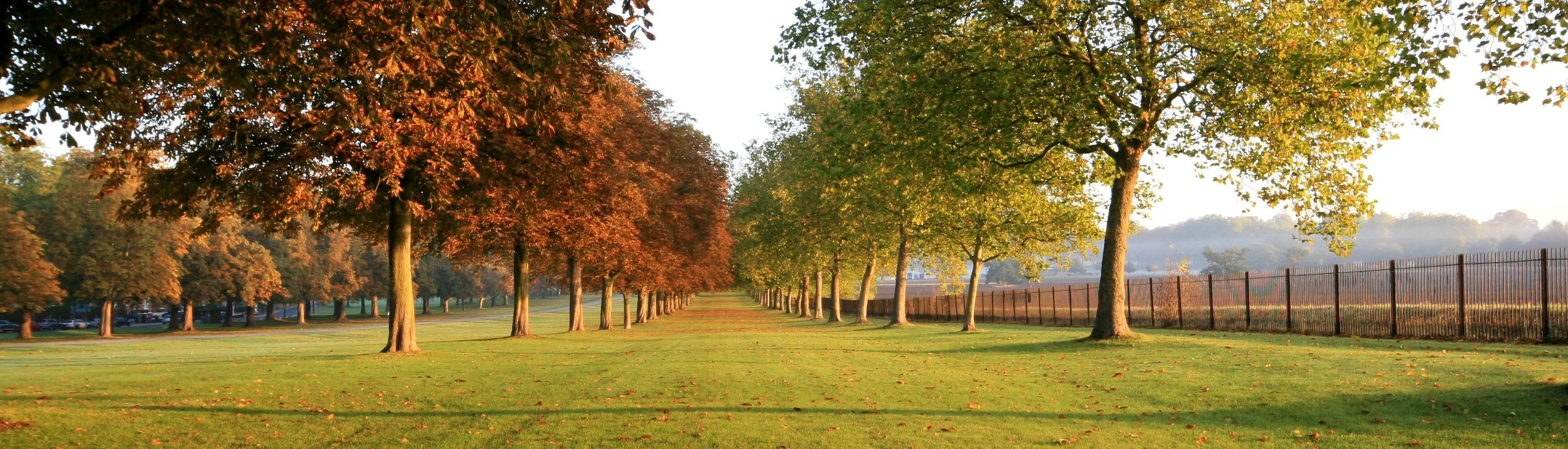stunning Autumn morning