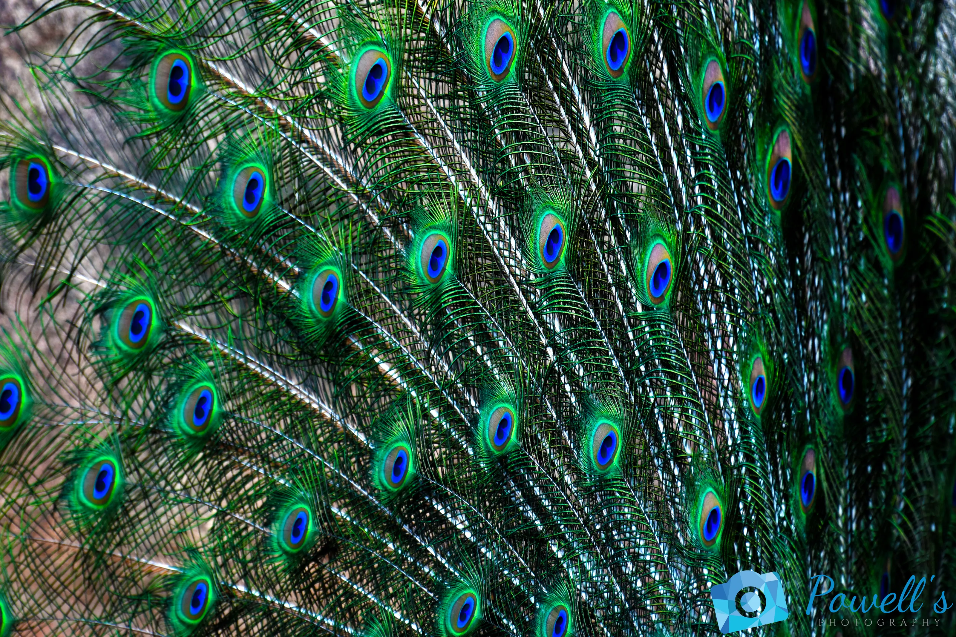 patterns