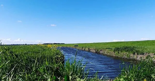 Dutch agracultural nature