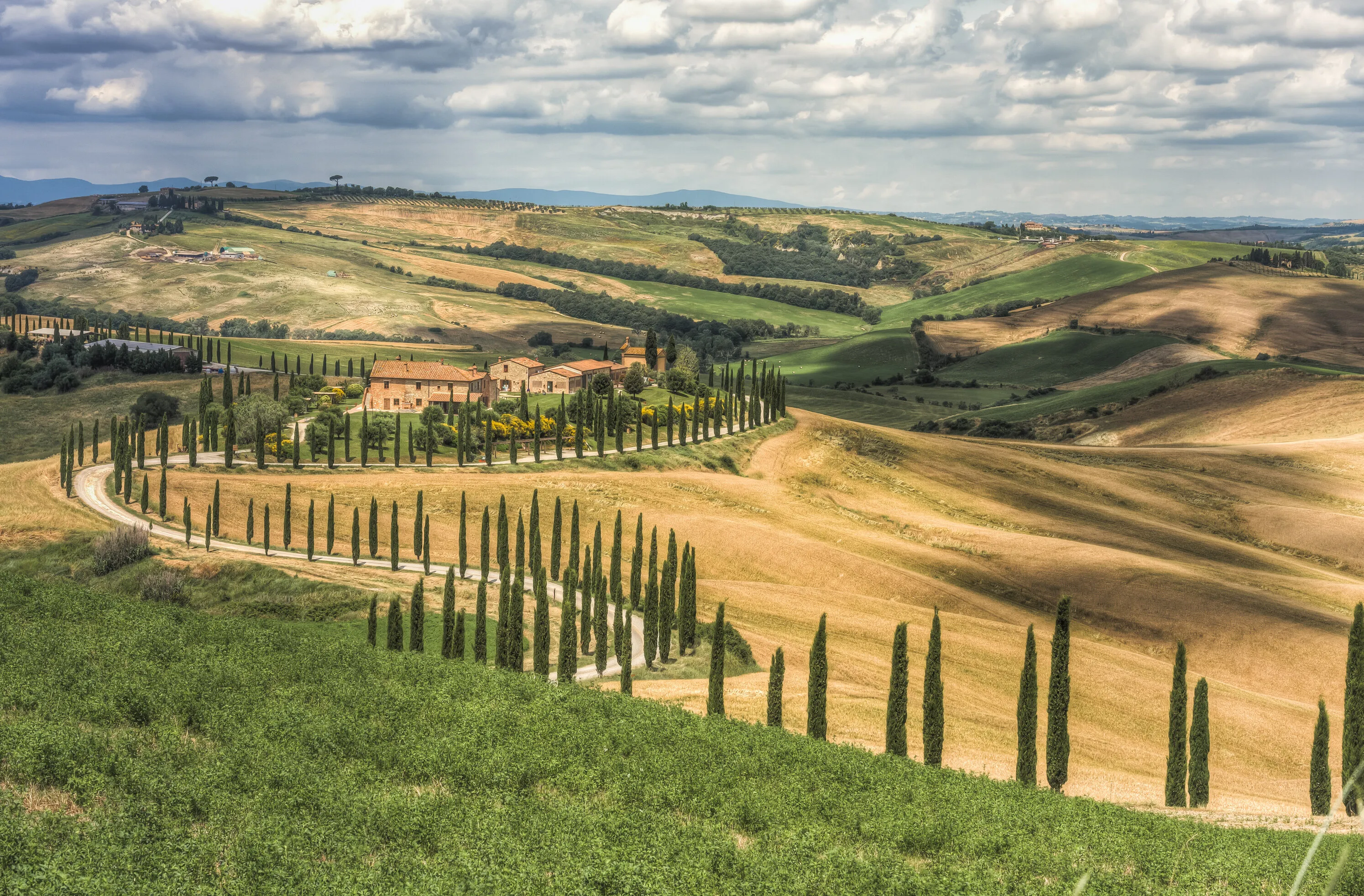 Asciano Landscape
