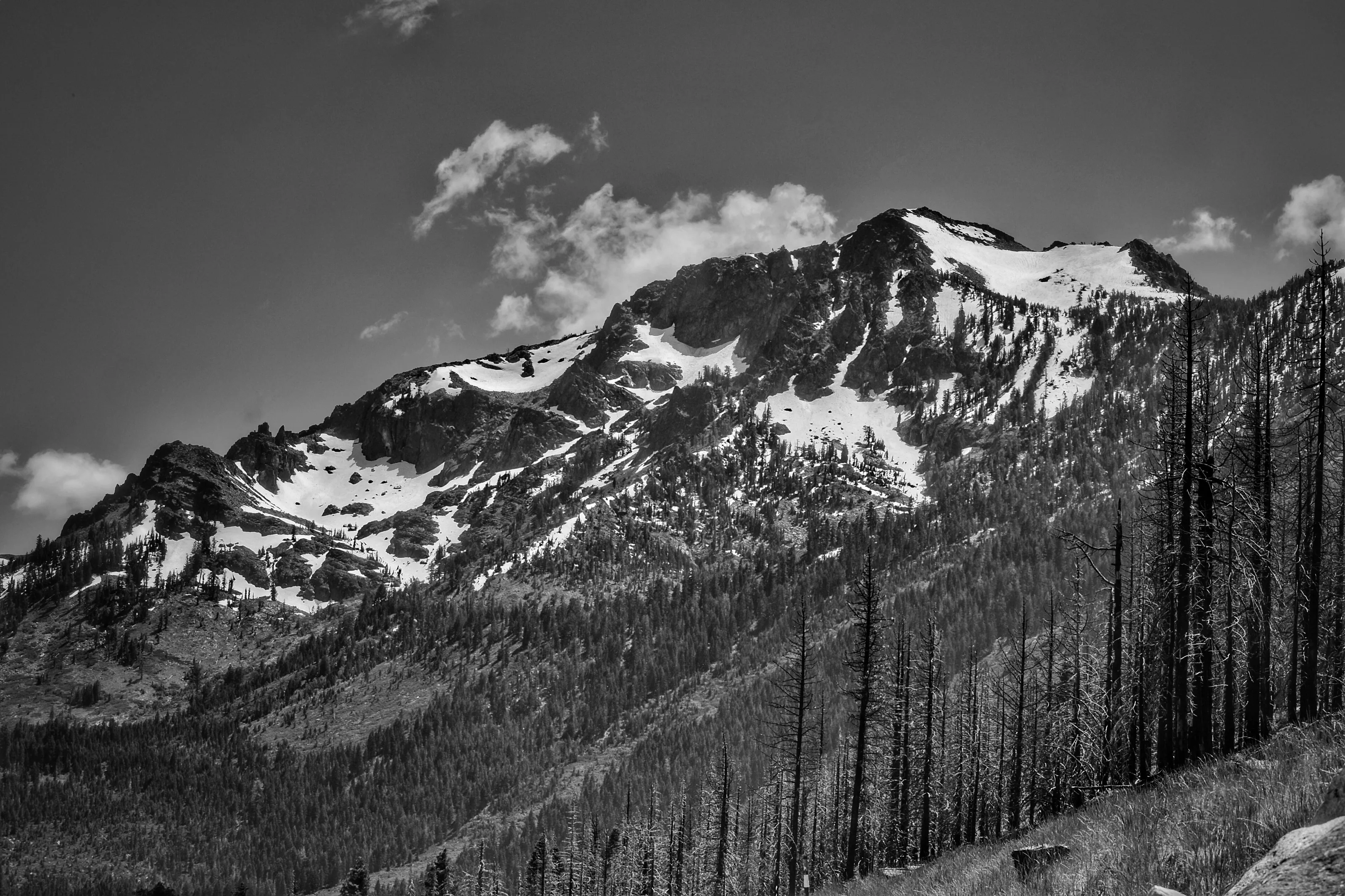 Mt. Tallac B&W