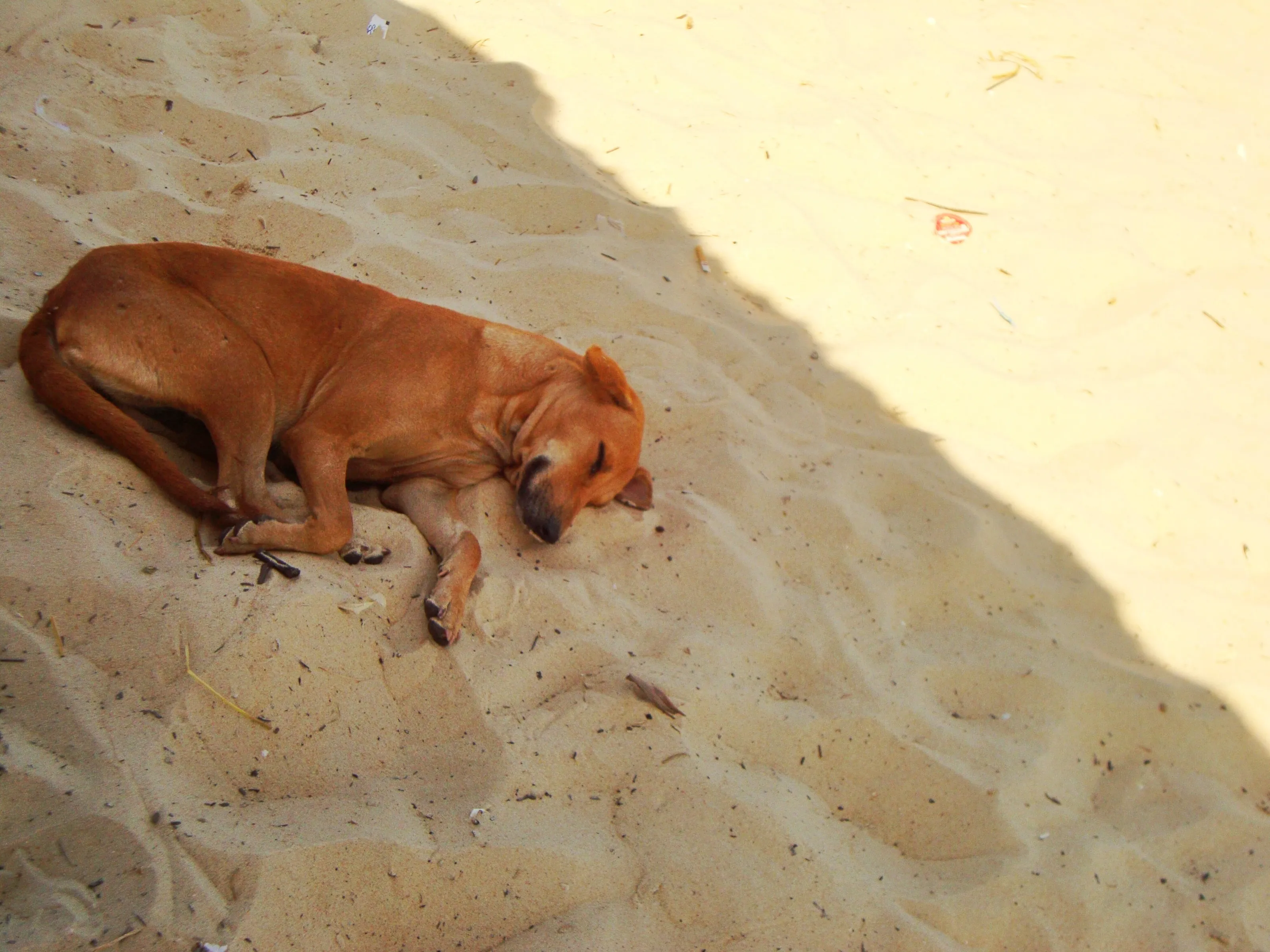 Shadow on beach