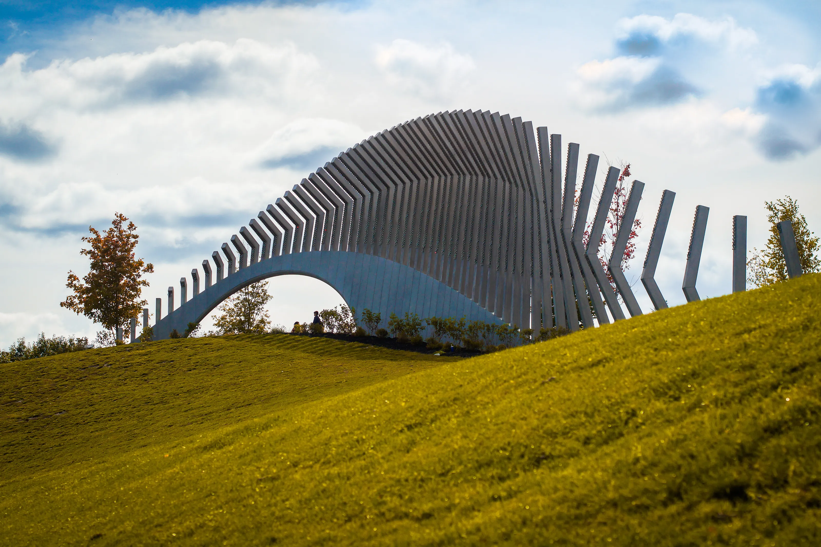 Banner image