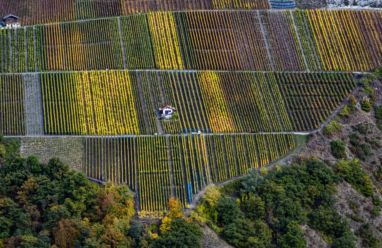 Entry 18727662