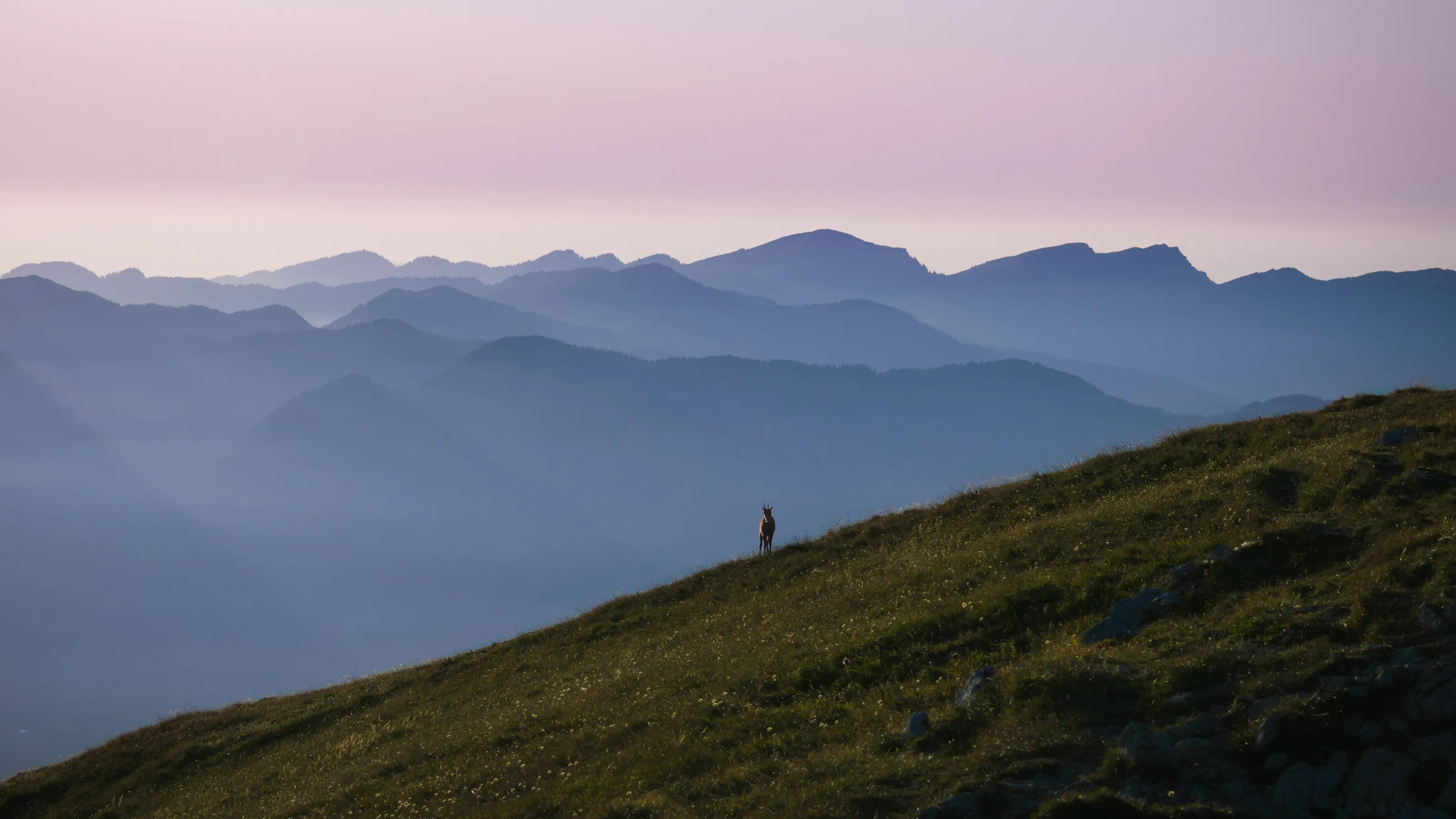 Mountain climber