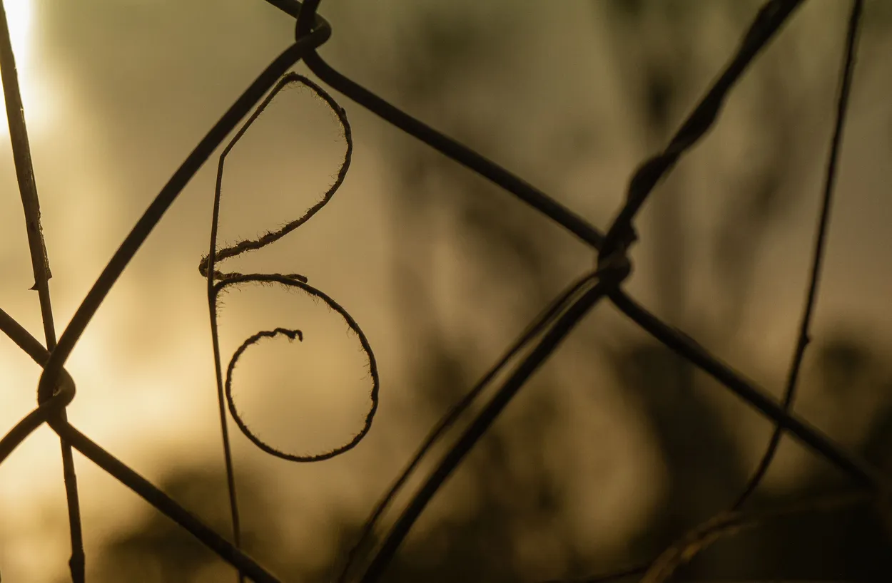 Entry 5069027