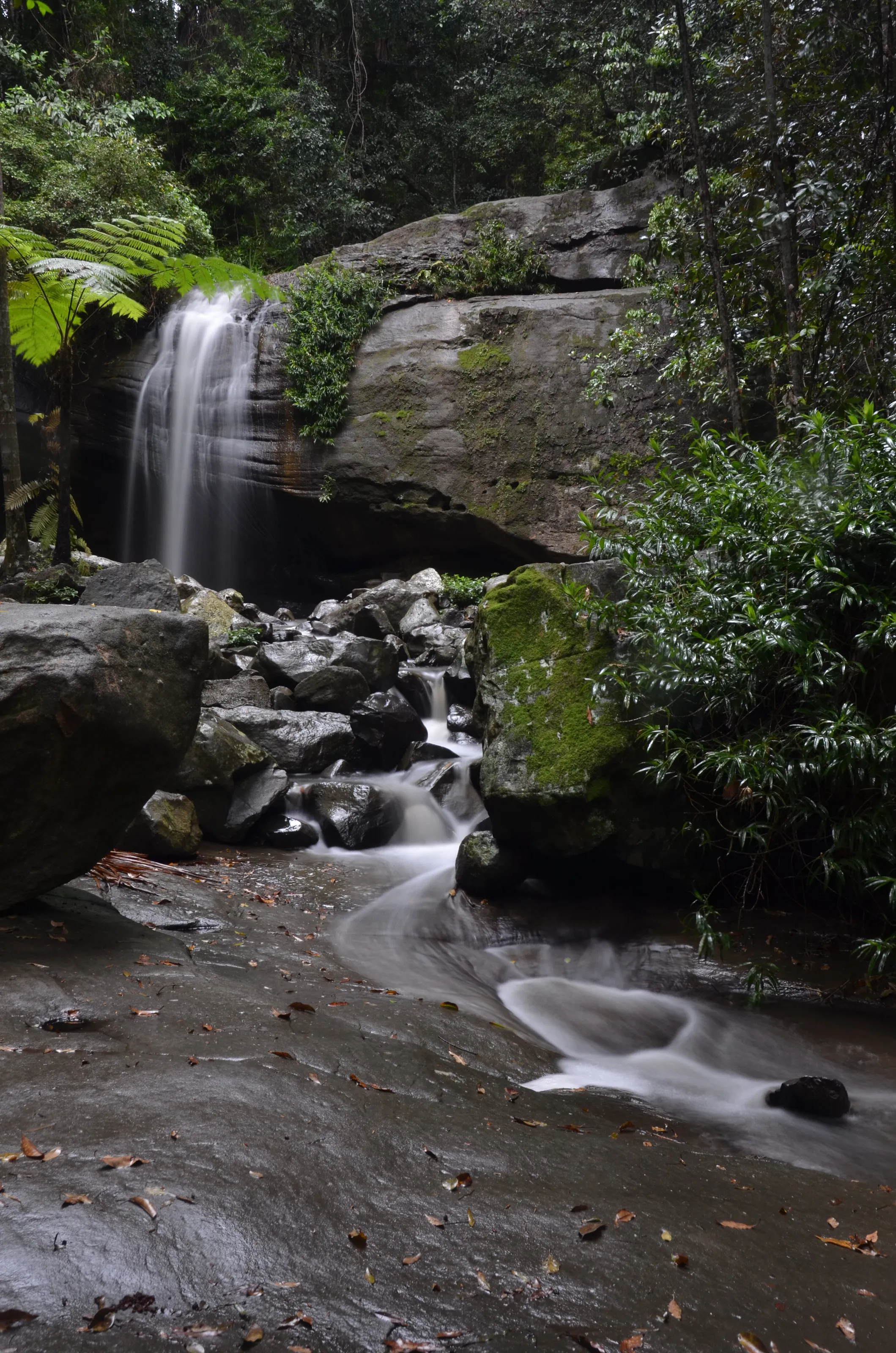 Serentiy Falls
