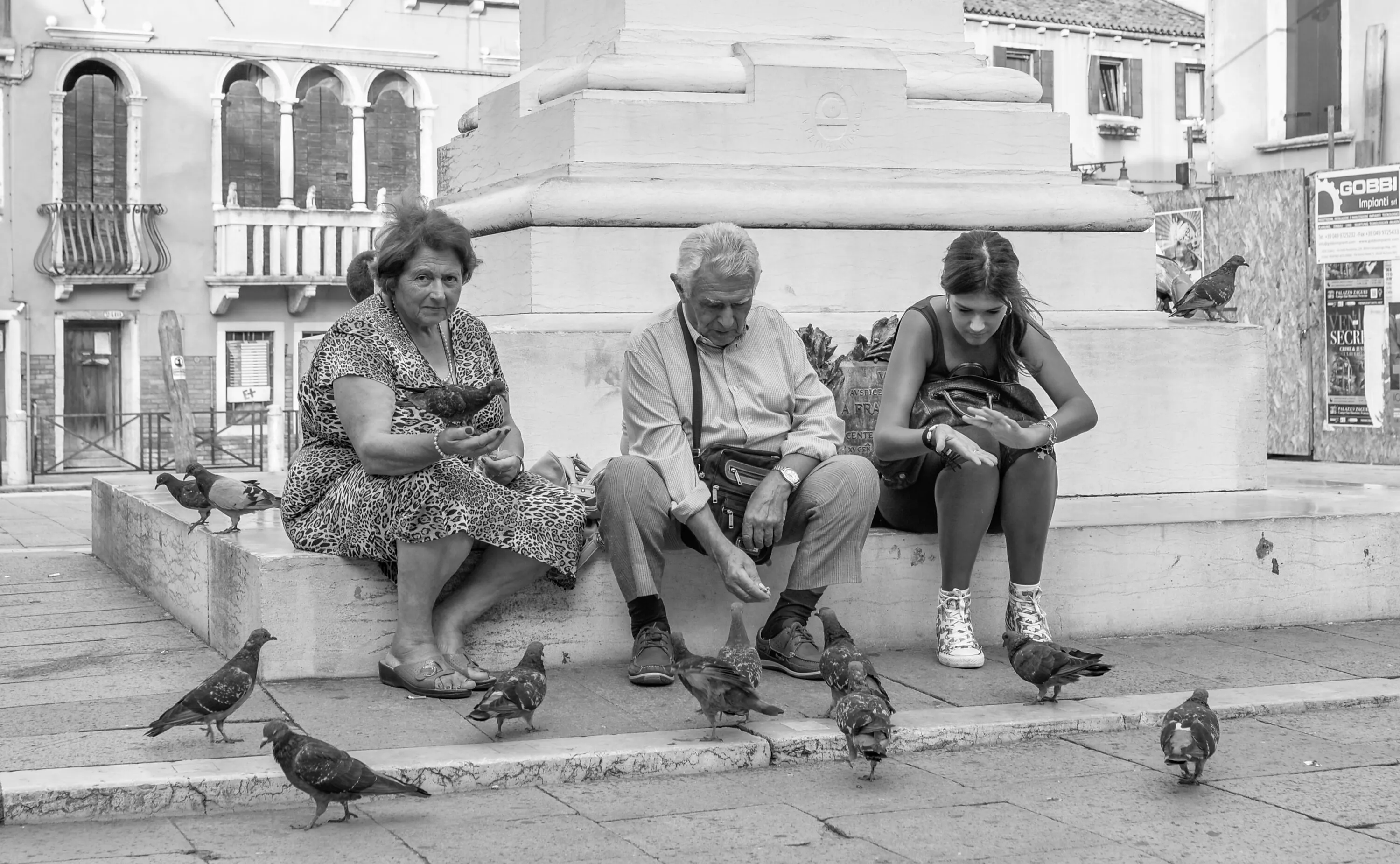 Feeding the Pigeons