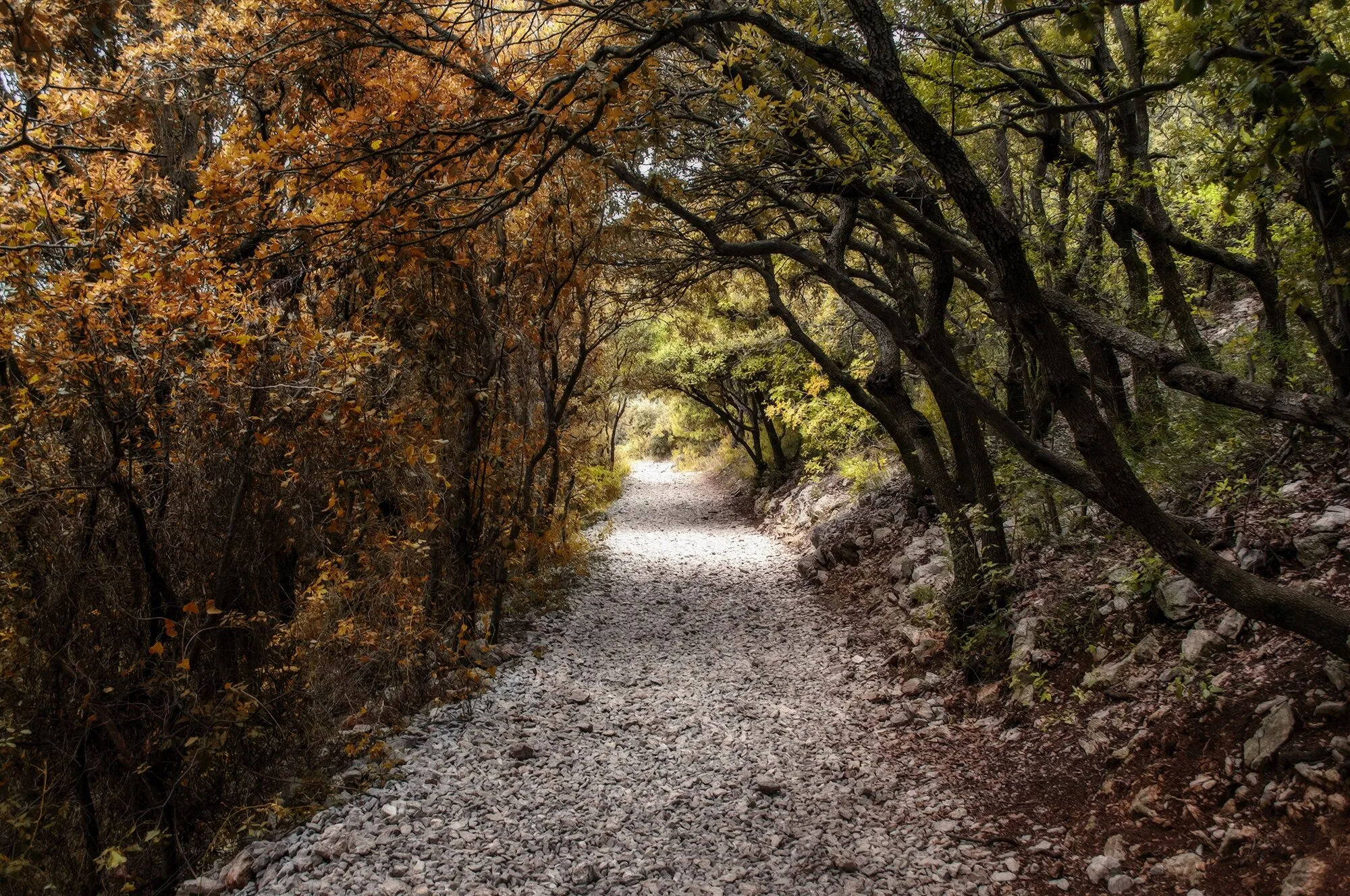 Colors of Autumn