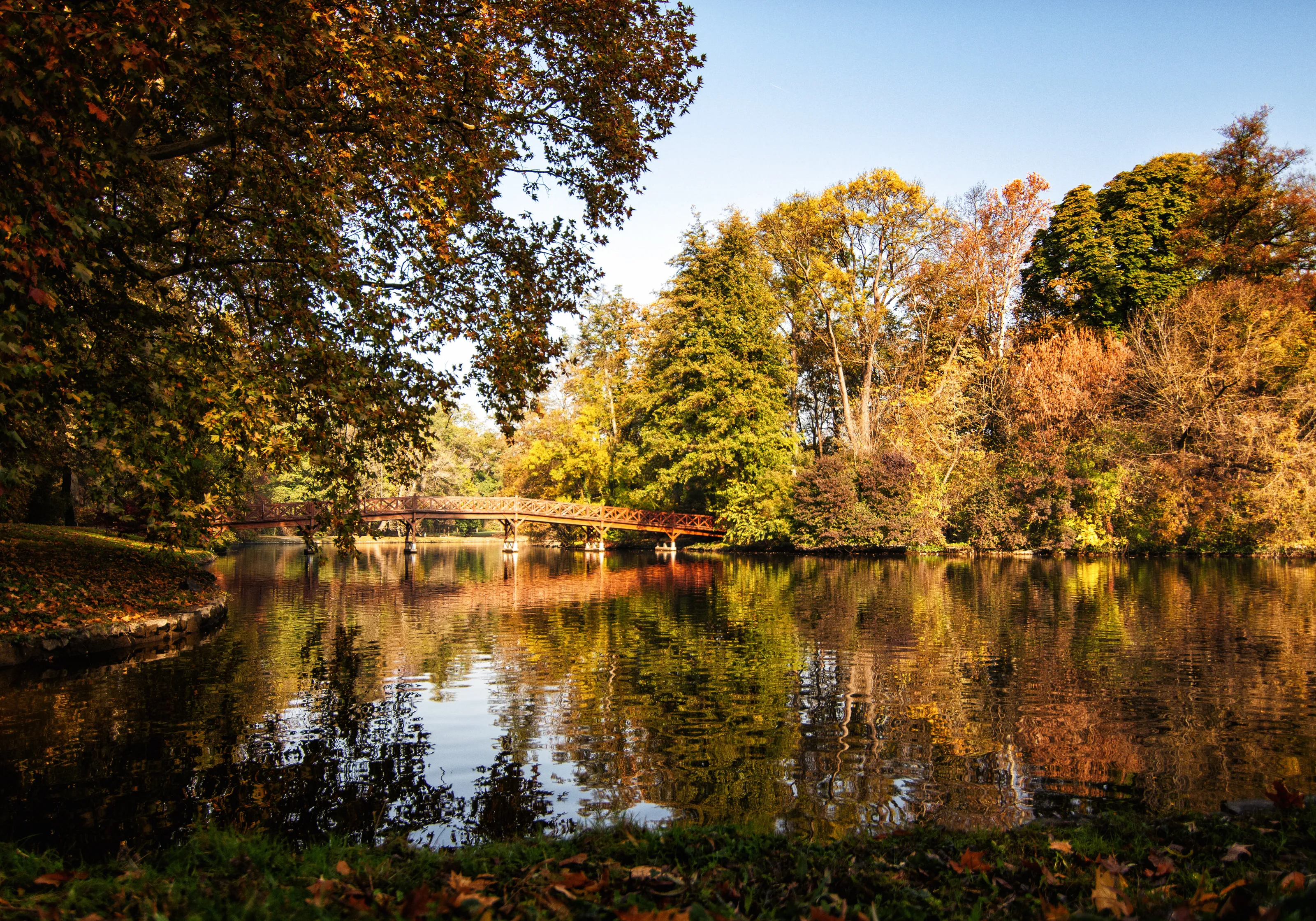 Autumn island