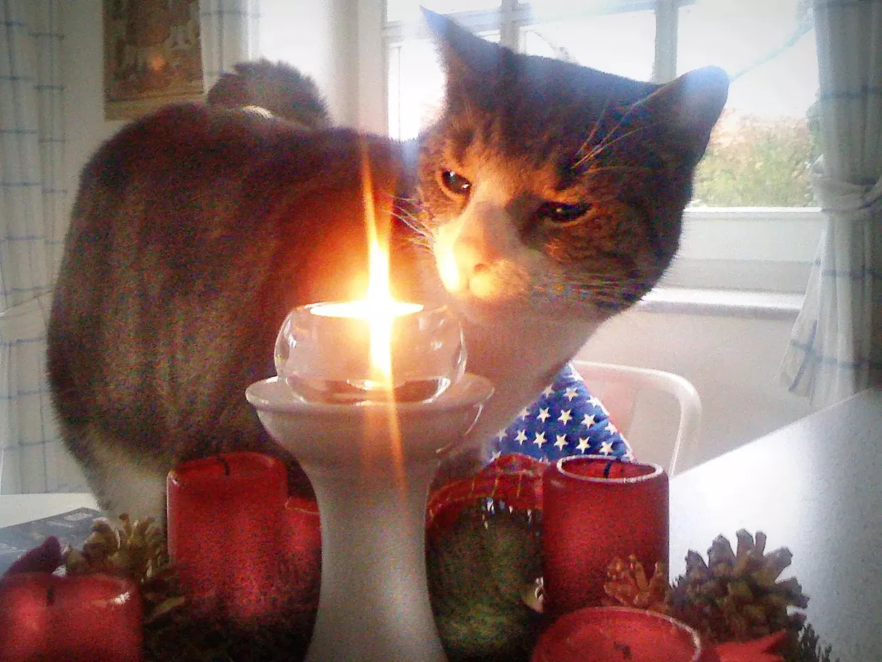Entry 5090436