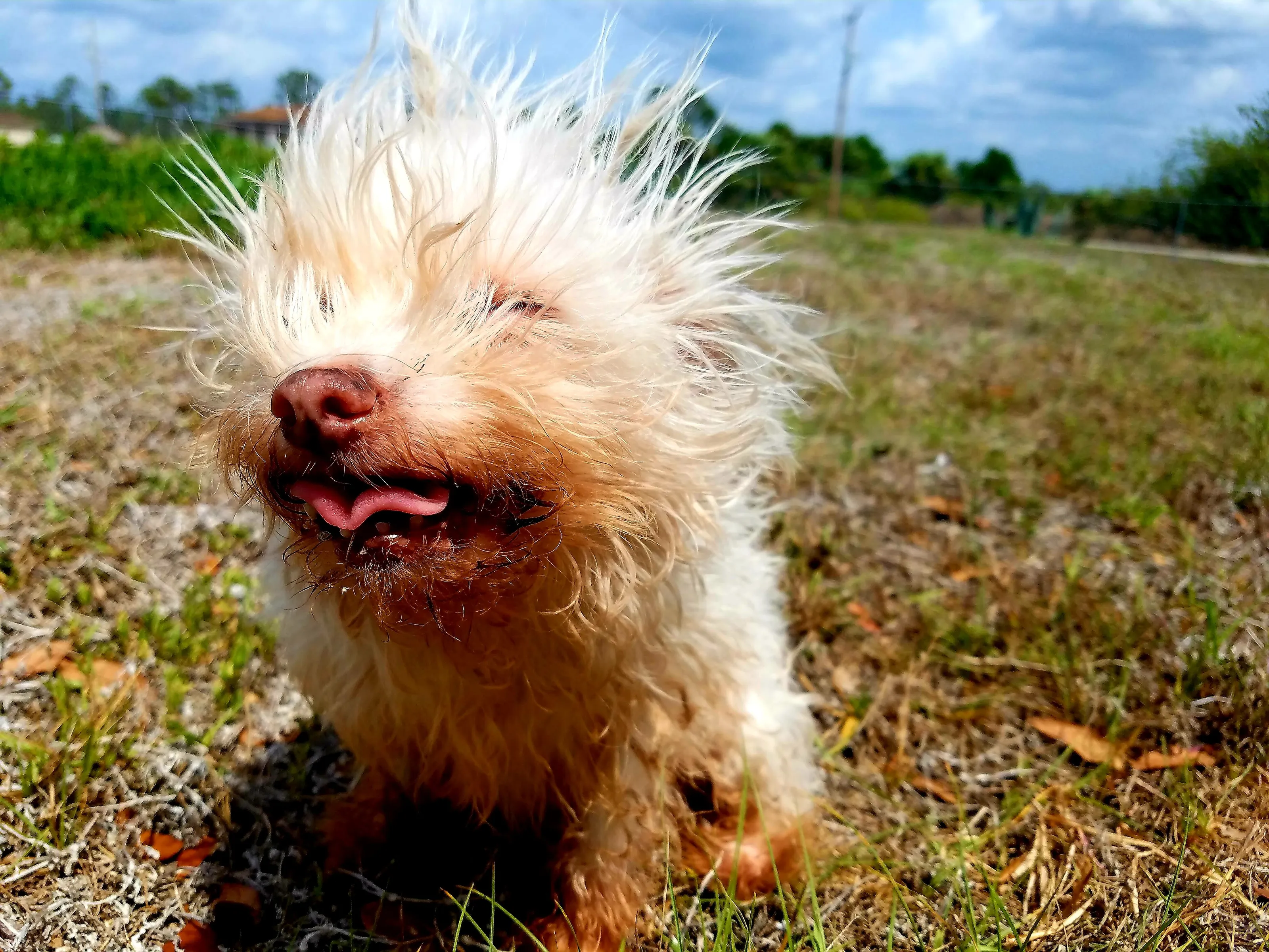 Wind Blown Hair, Still Don't Care