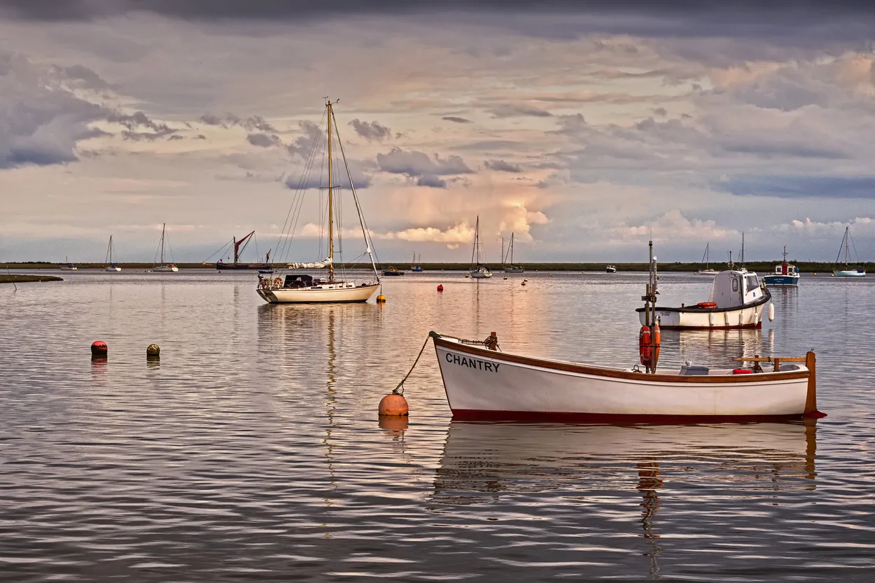 Entry 28561007