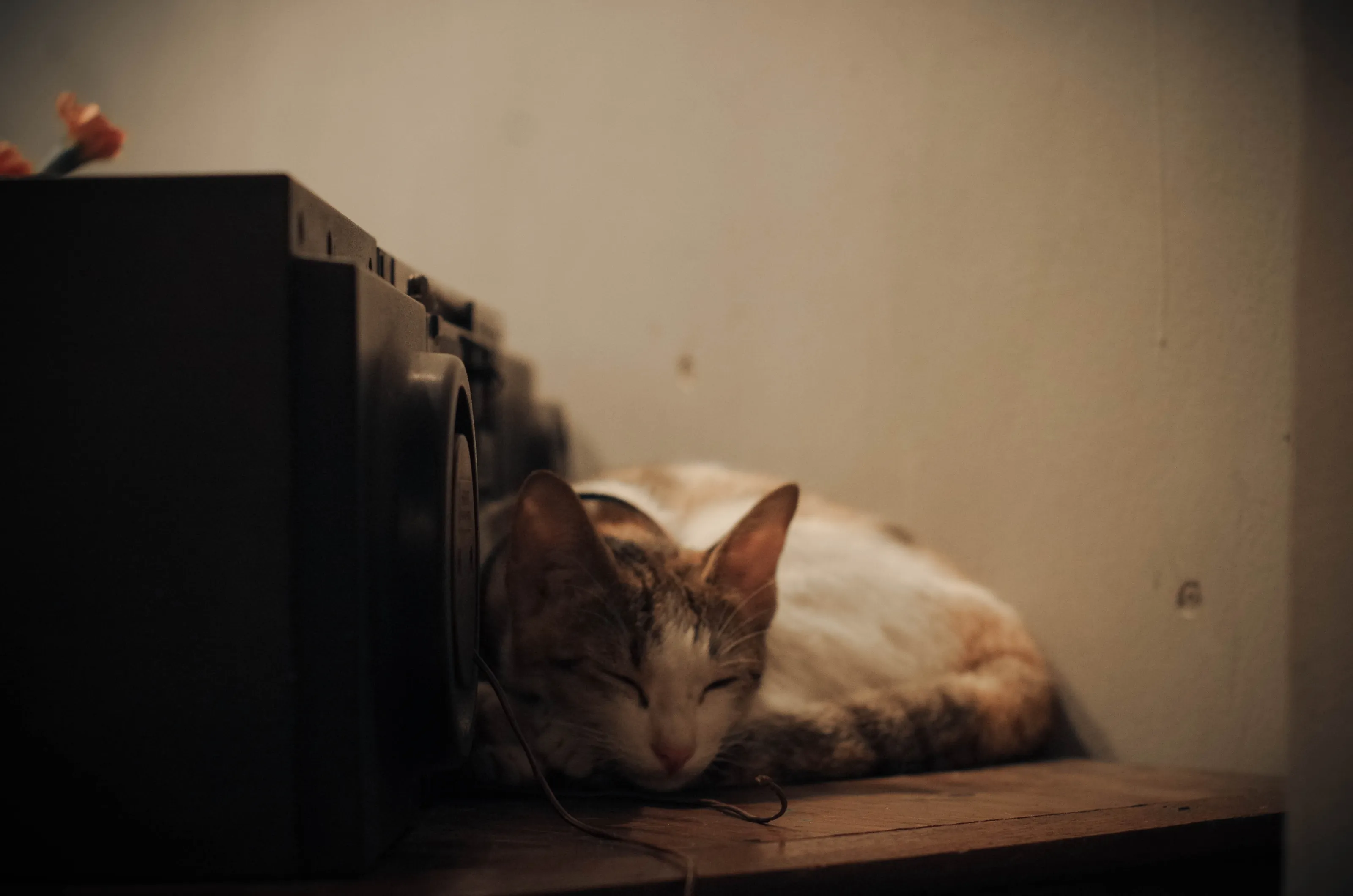 Sleep'n Sound