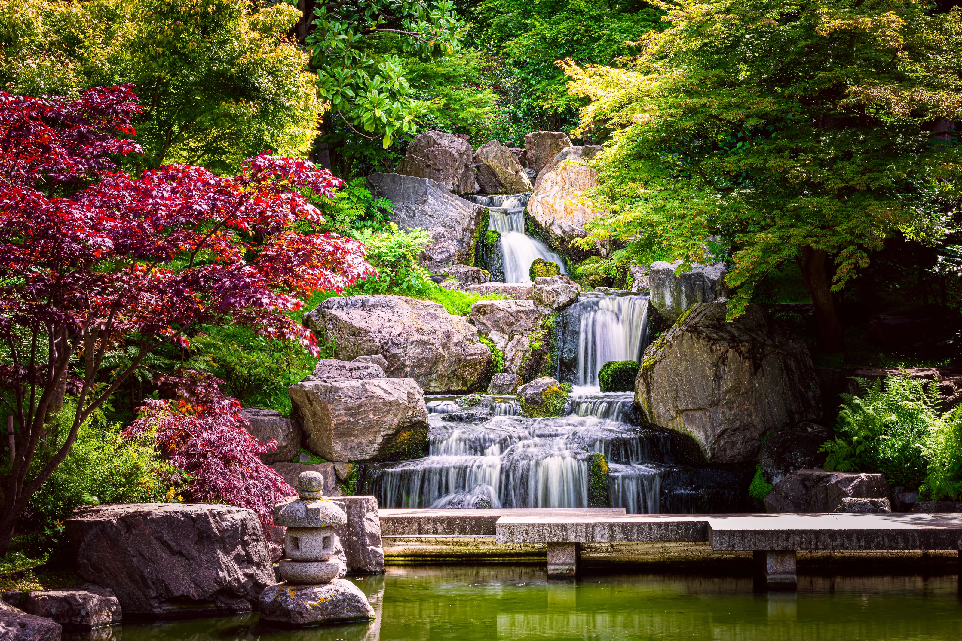 Japanese garden in Holland Park, London