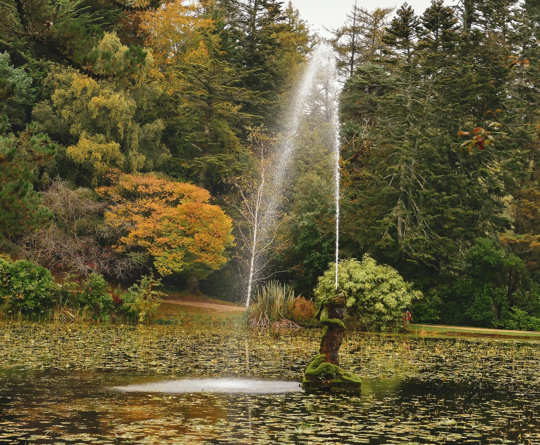 Powerscourt Lake