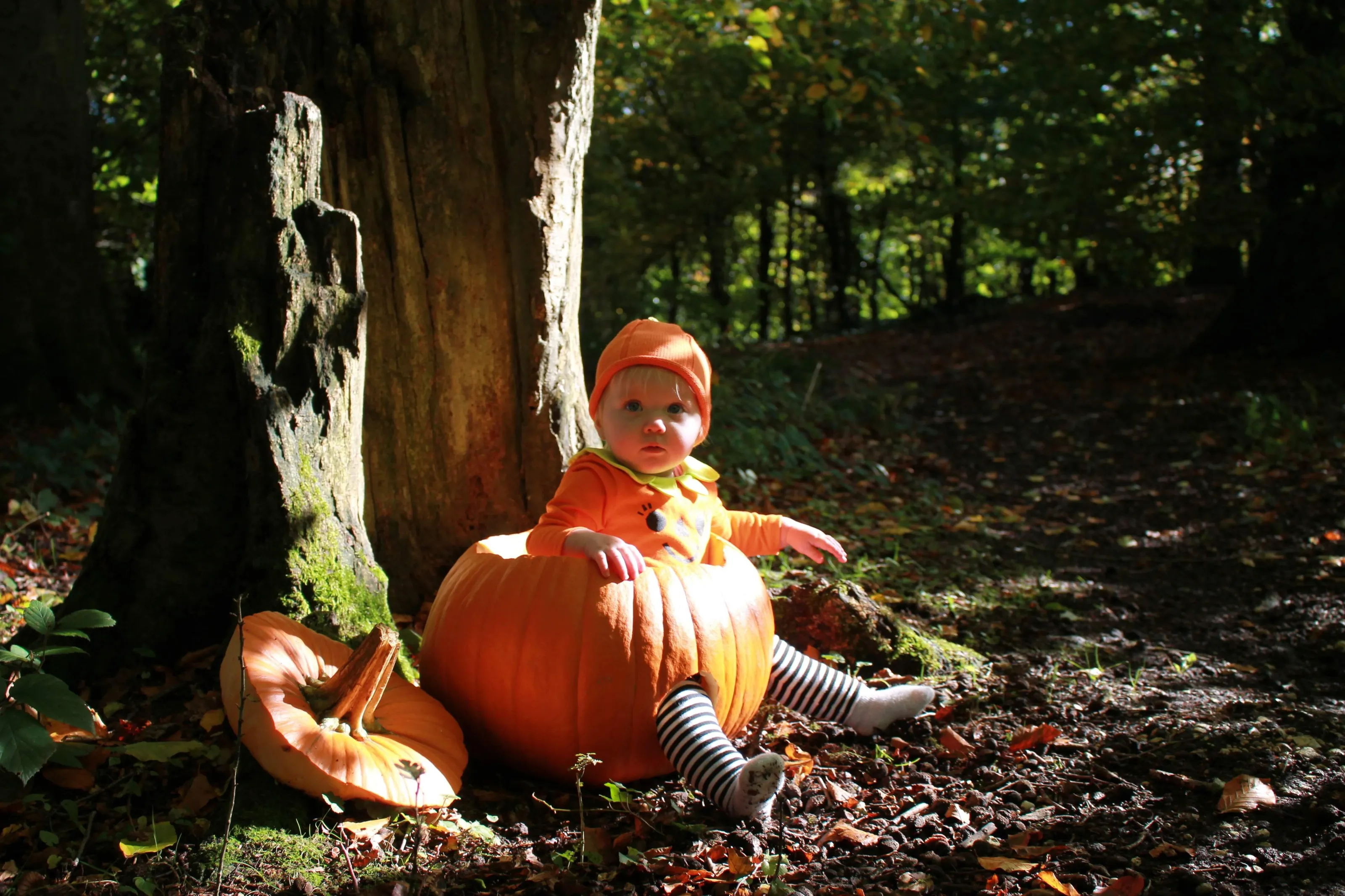 Little pumpkin