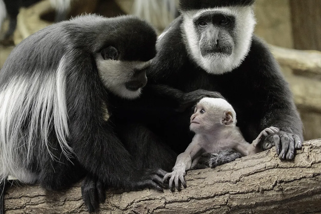 Entry 5124107