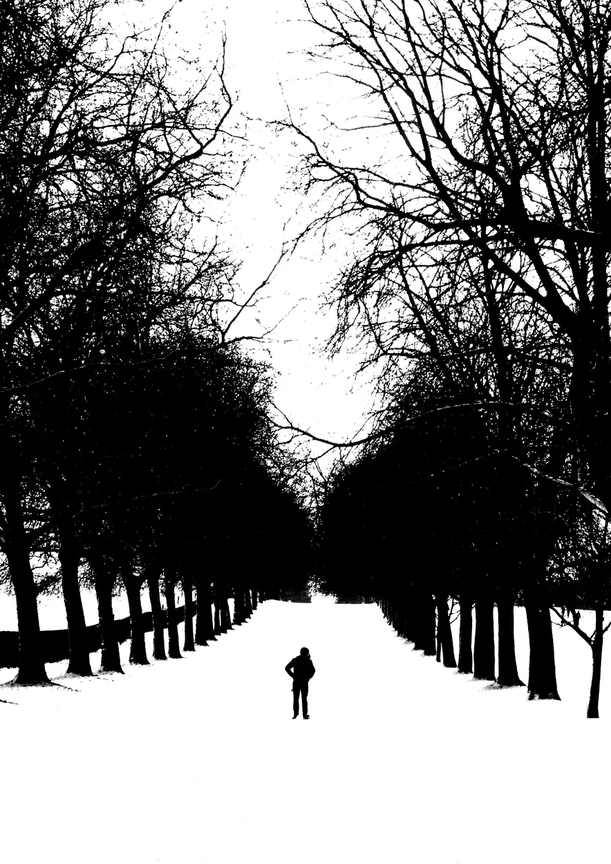 Entry 2834